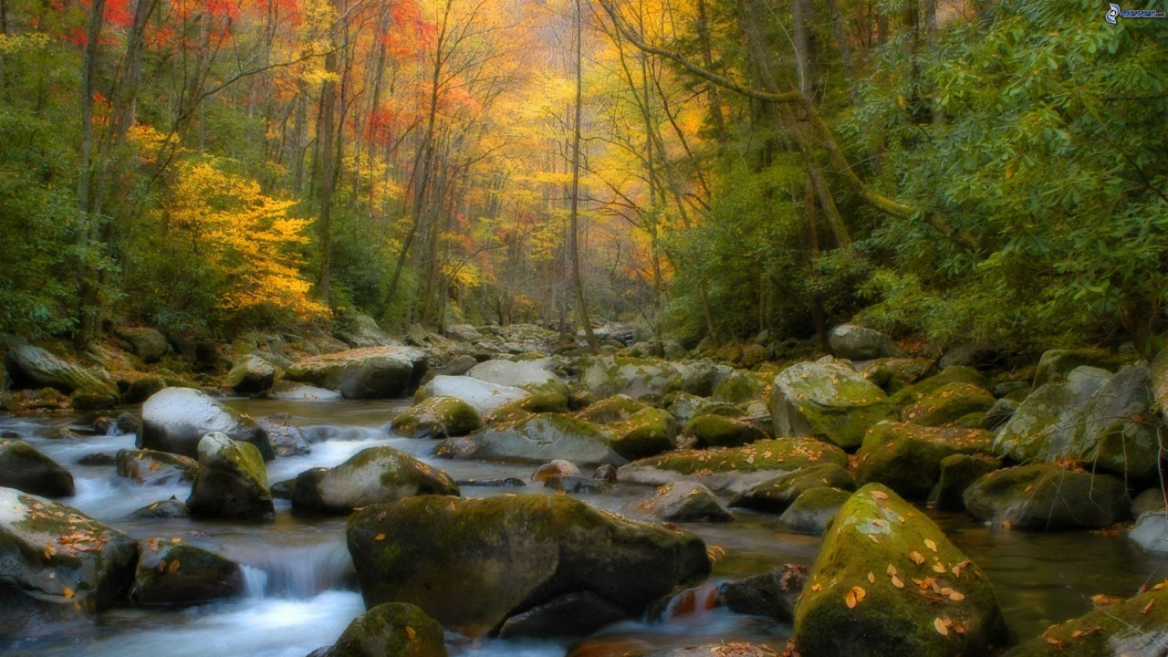 Обои природа, пейзаж, поток, водоем, водоток в разрешении 1280x720