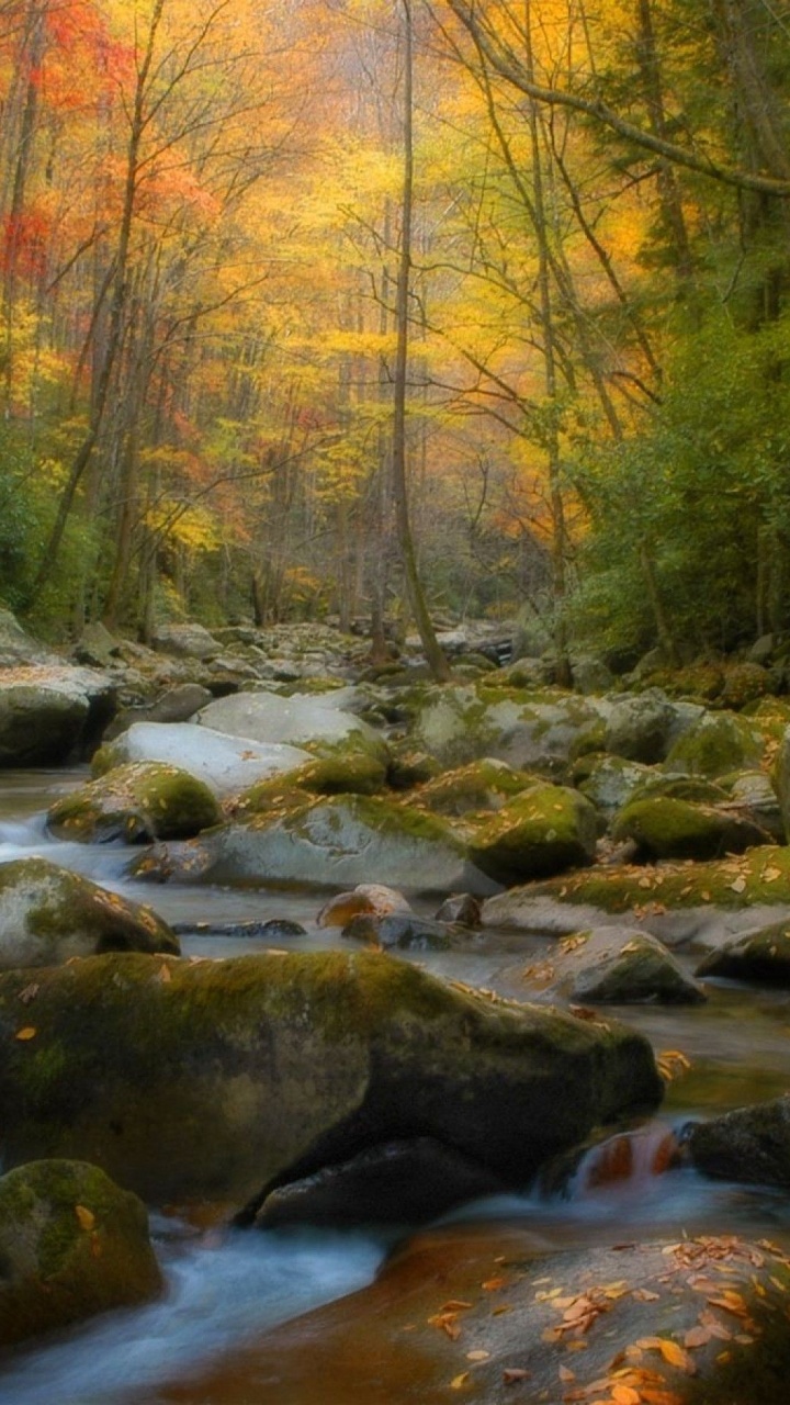 Обои природа, пейзаж, поток, водоем, водоток в разрешении 720x1280