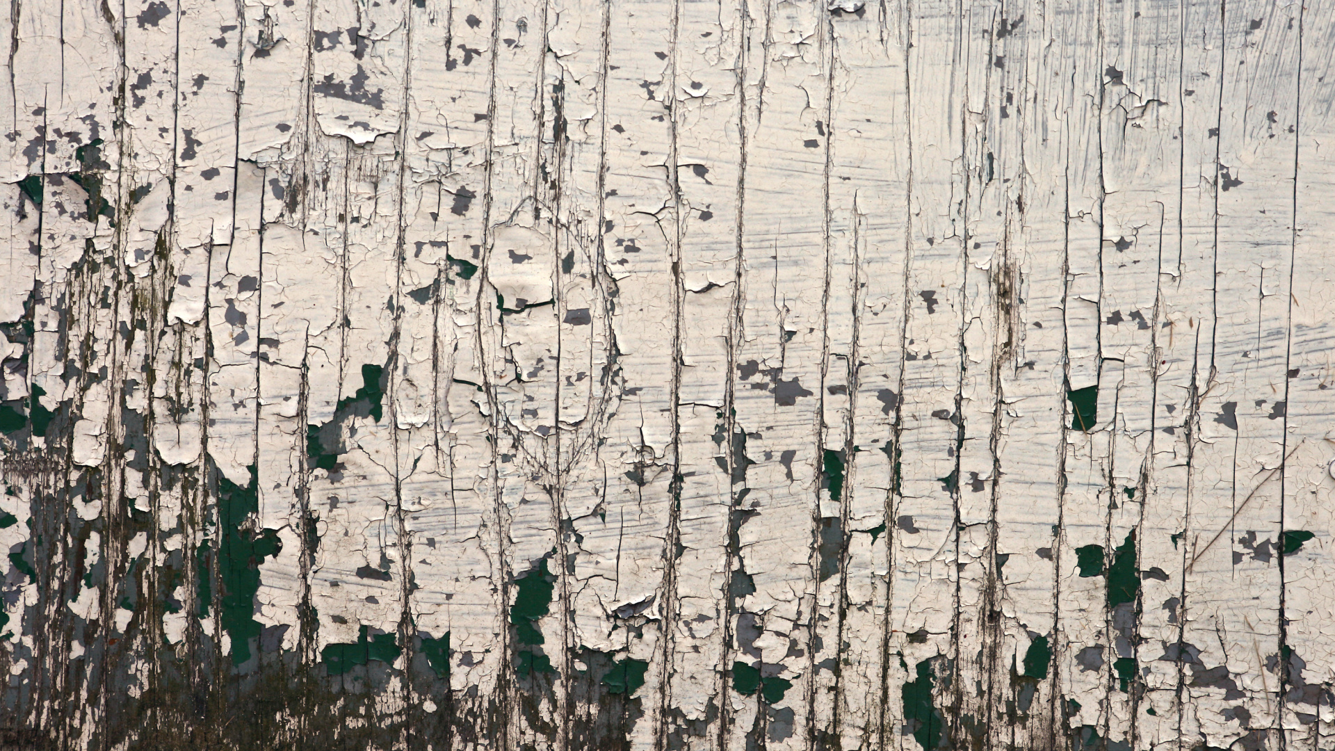 Обои шелушение краски текстуры, текстура, живопись, дерево, стена в разрешении 1920x1080
