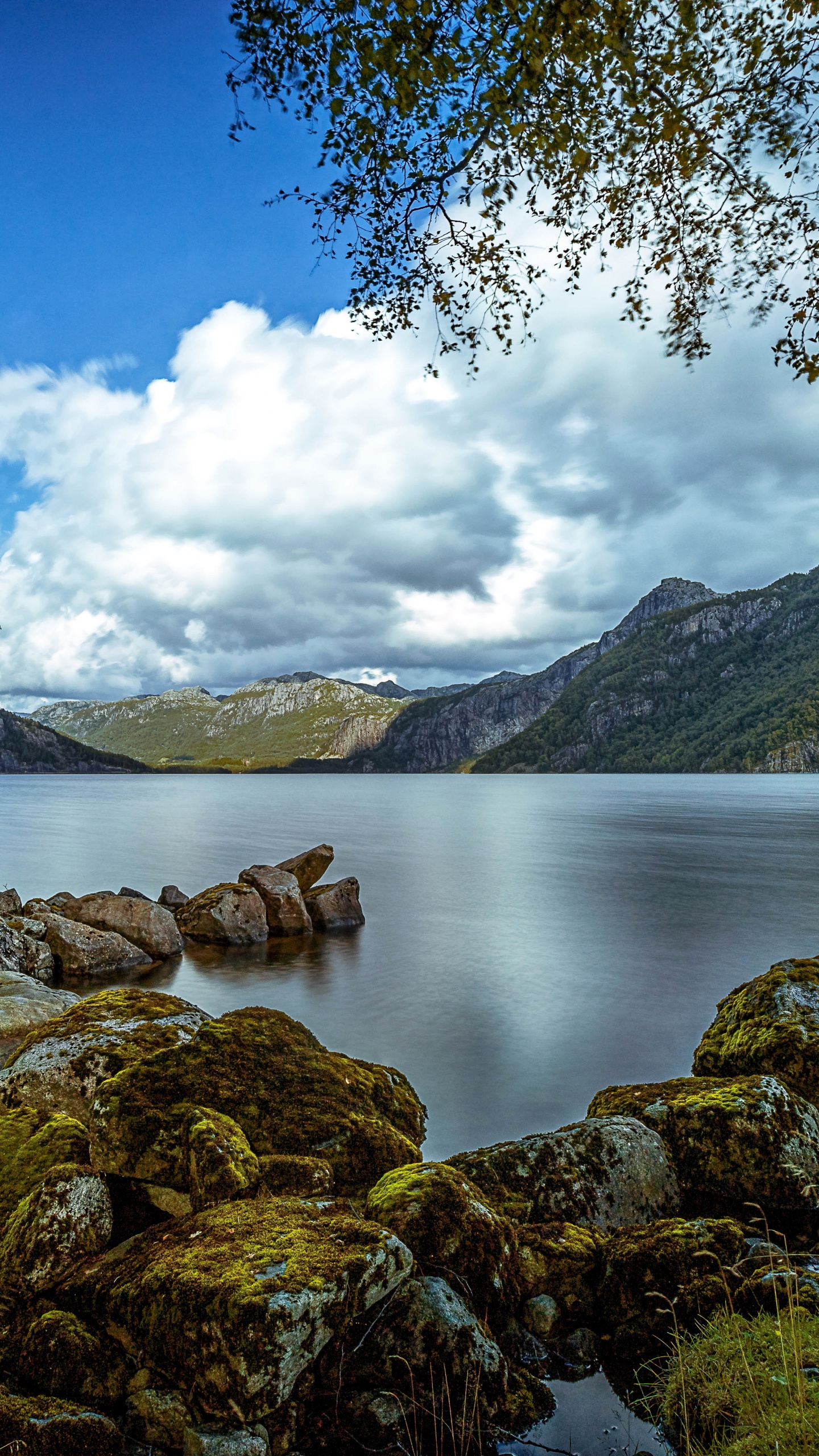 Обои Муниципалитет Бьеркрейм, водоем, природный ландшафт, природа, вода в разрешении 1440x2560