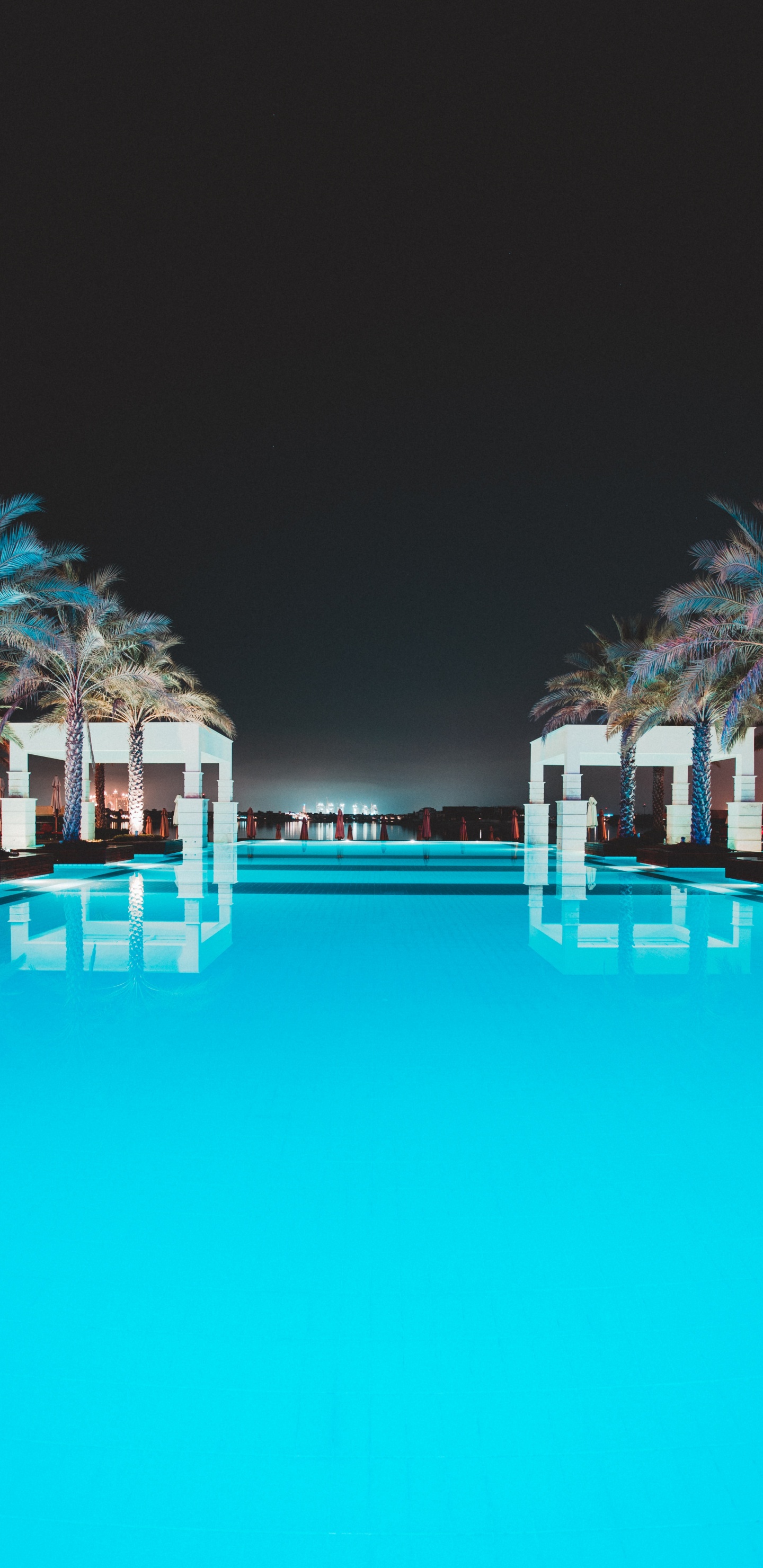 Обои Пальма, отпуск, досуг, прибежище, бирюза в разрешении 1440x2960