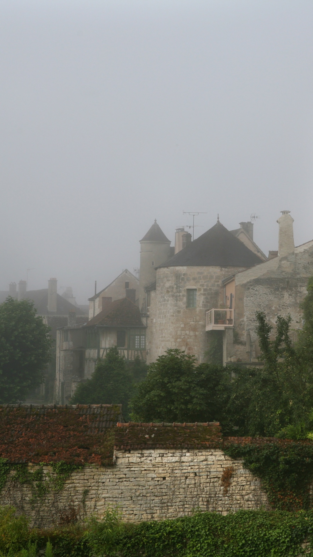 Обои стена, здание, дерево, имущество, замок в разрешении 1080x1920