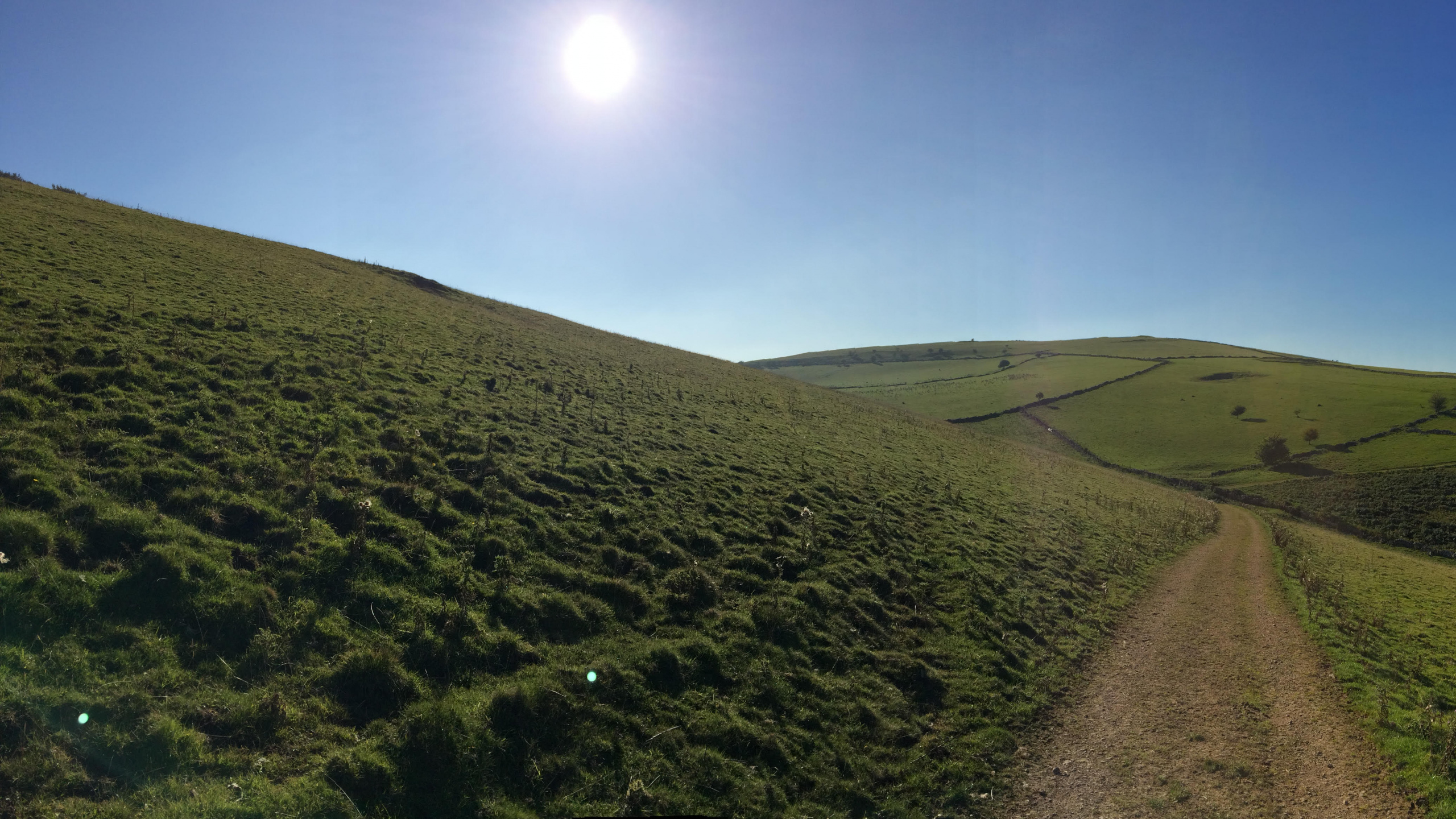 Обои сенокосное угодье, холм, нагорье, выгон, кустарник в разрешении 2560x1440