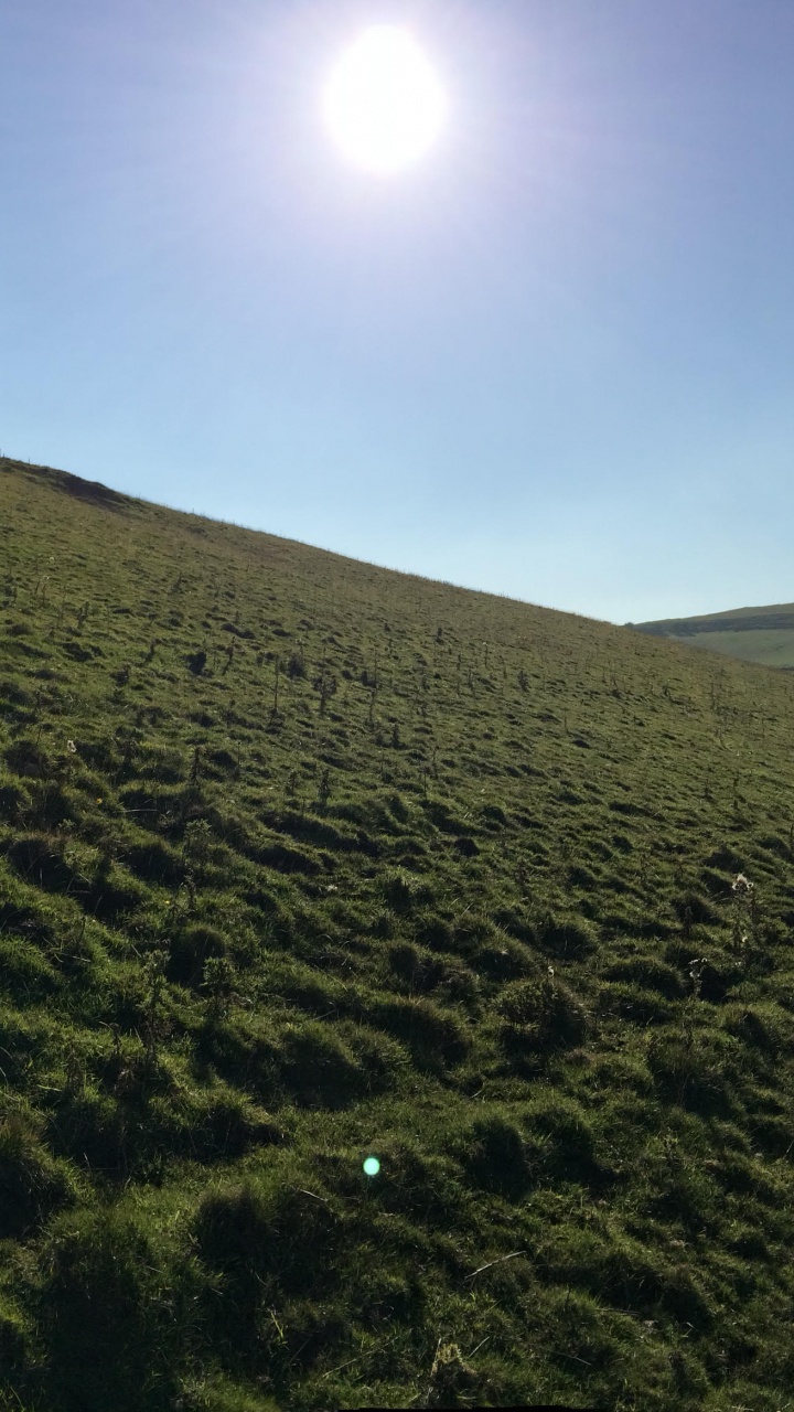 Обои сенокосное угодье, холм, нагорье, выгон, кустарник в разрешении 720x1280