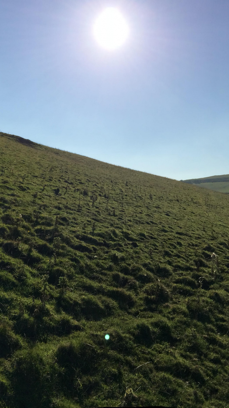 Обои сенокосное угодье, холм, нагорье, выгон, кустарник в разрешении 750x1334