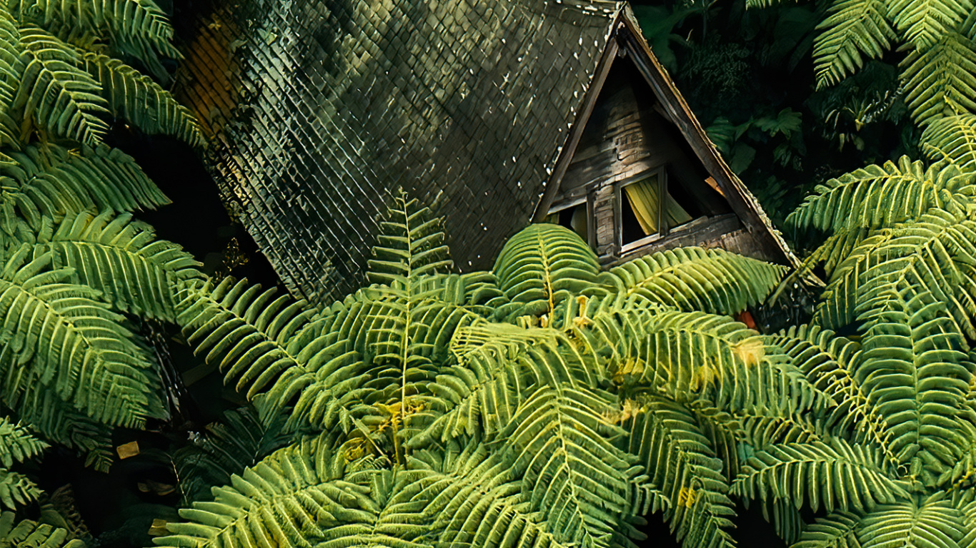 Обои растительность, хвойными лесами, растительное сообщество, растение, ветвь в разрешении 1366x768