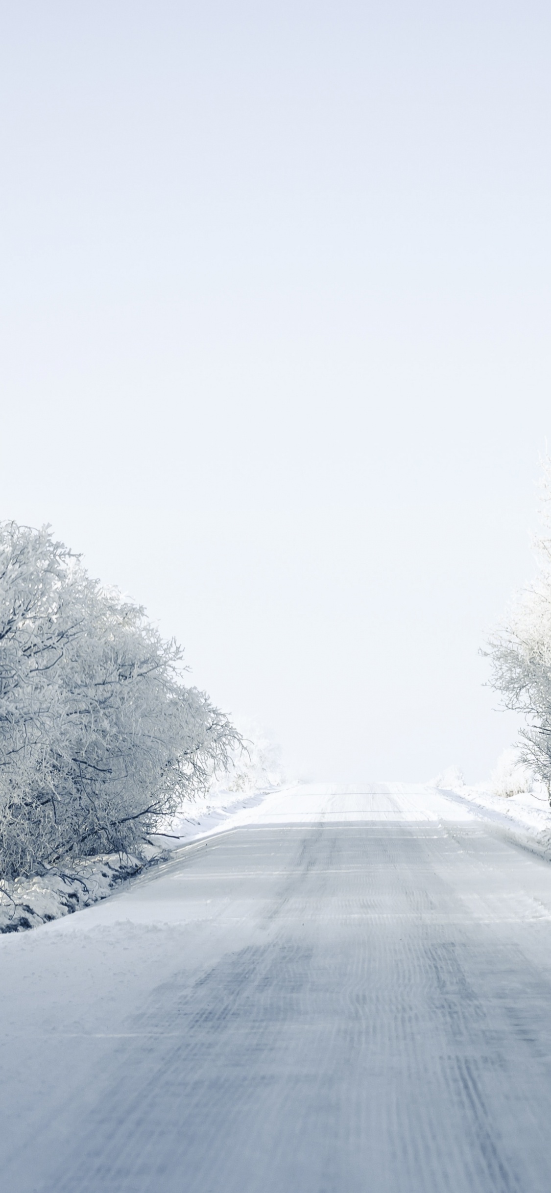 Обои метель, мороз, магистраль, зима, ветвь в разрешении 1125x2436