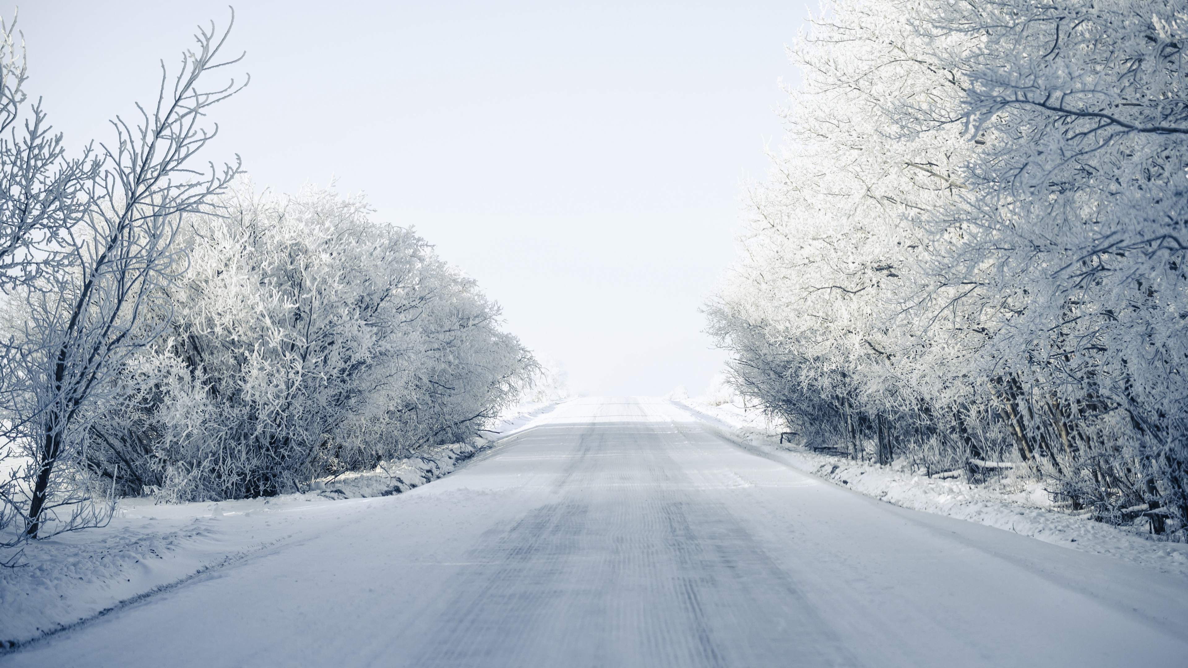 Обои метель, мороз, магистраль, зима, ветвь в разрешении 3840x2160