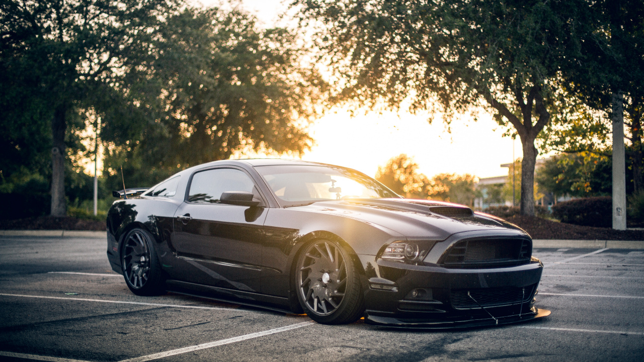 Обои Шелби Мустанг, авто, 2005 Форд Мустанг, ford, компания Ford в разрешении 1280x720