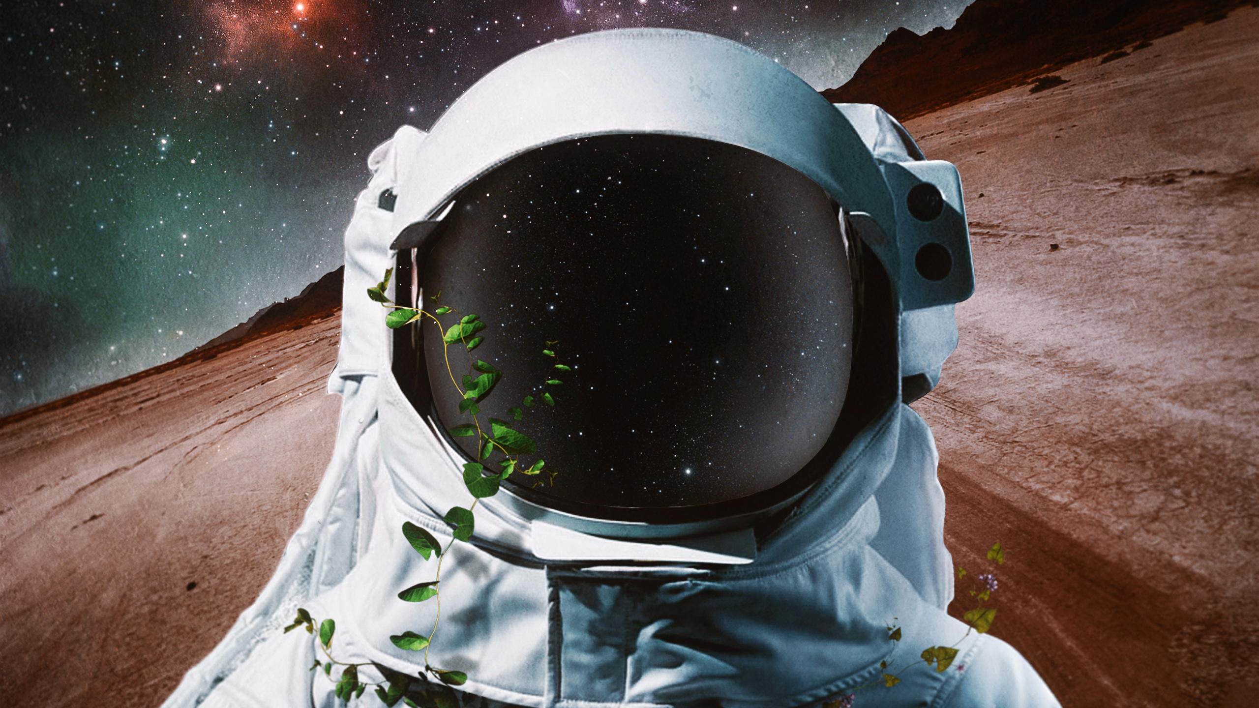 Обои астронавт, космическое пространство, космос, атмосфера, астрономический объект в разрешении 2560x1440