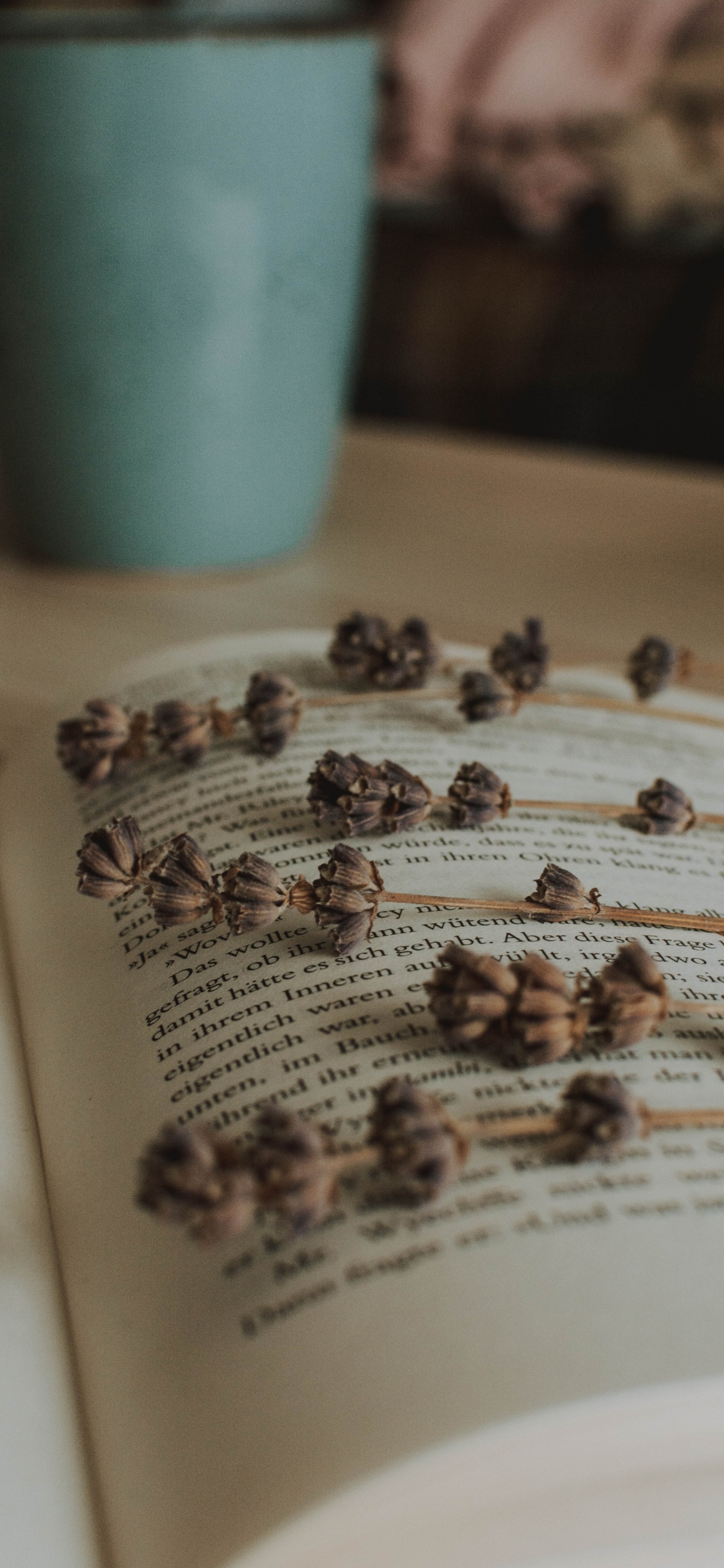 Обои лаванда, пища, книга, Художники портфолио, насекомое в разрешении 1242x2688