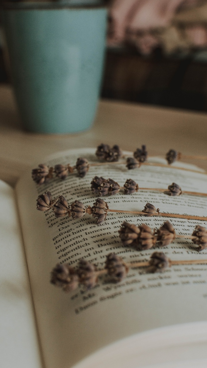 Обои лаванда, пища, книга, Художники портфолио, насекомое в разрешении 720x1280