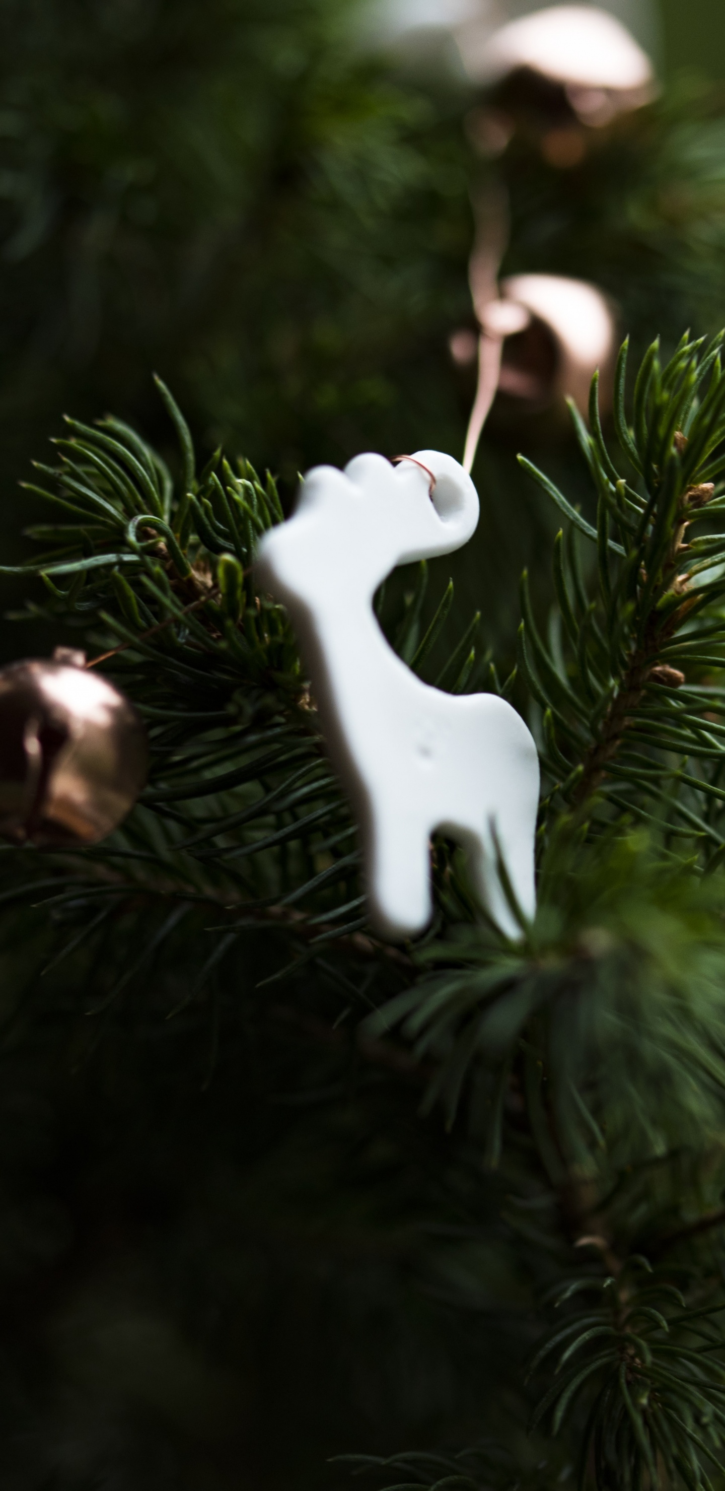 Обои Рождественский день, елка, рождественский орнамент, Санта-Клаус, Рождественские украшения в разрешении 1440x2960