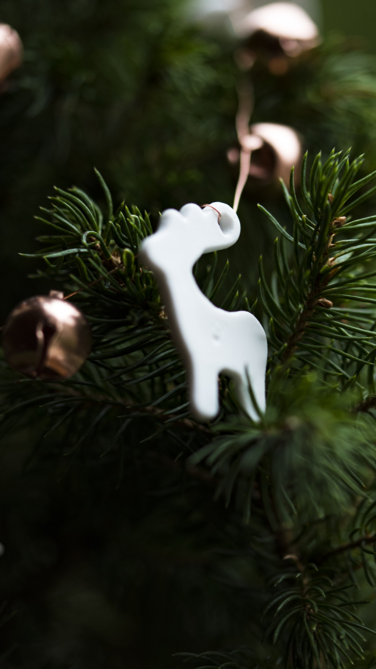 Обои Рождественский день, елка, рождественский орнамент, Санта-Клаус, Рождественские украшения в разрешении 750x1334