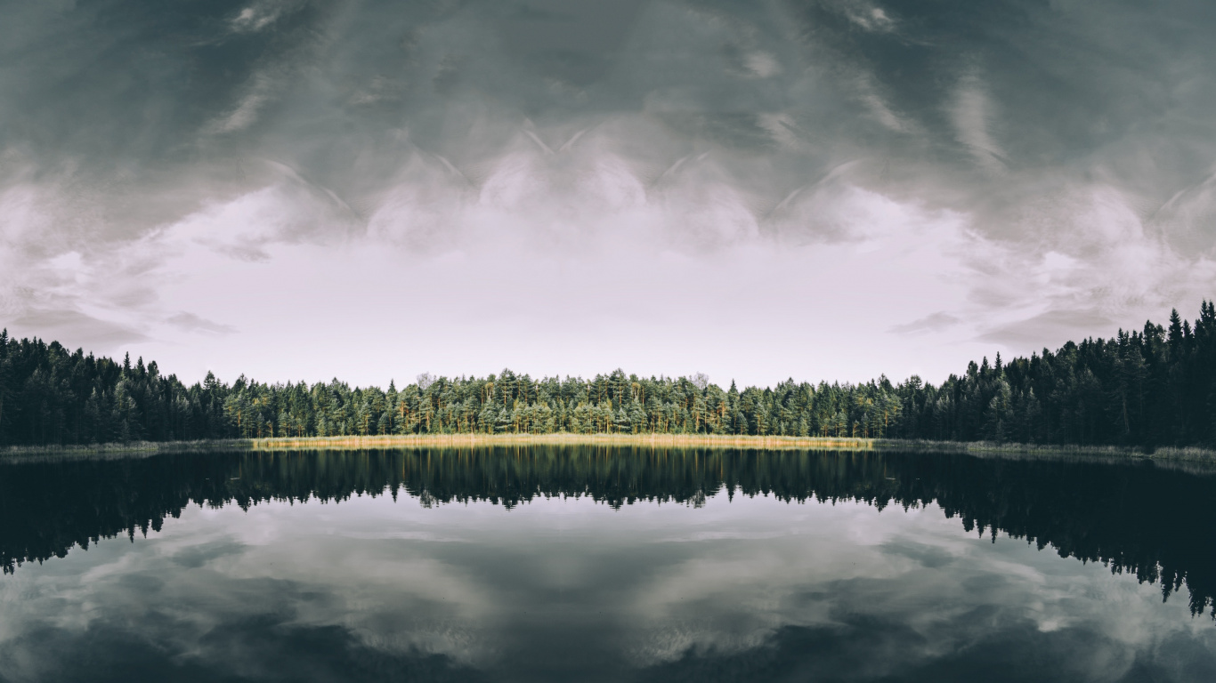 Обои лес, природа, отражение, вода, озеро в разрешении 1366x768