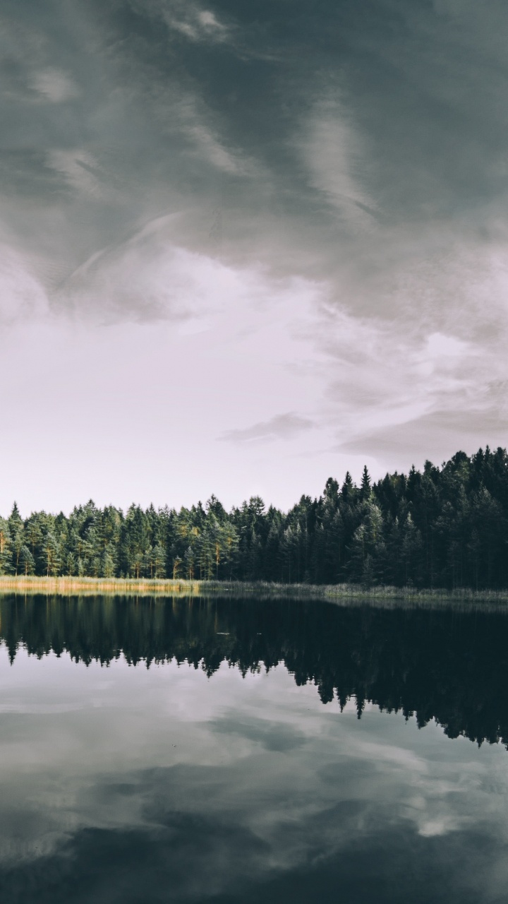 Обои лес, природа, отражение, вода, озеро в разрешении 720x1280