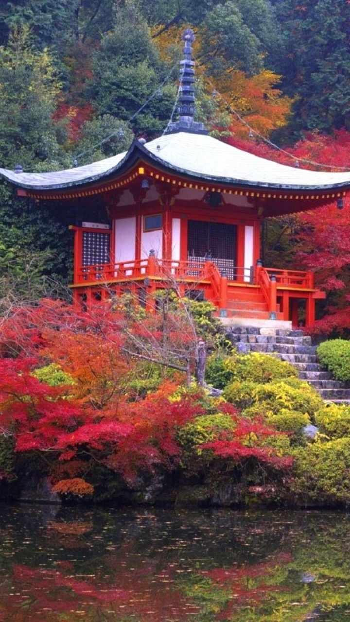 Обои Дайго-дзи, храм, пагода, природа, дерево в разрешении 720x1280