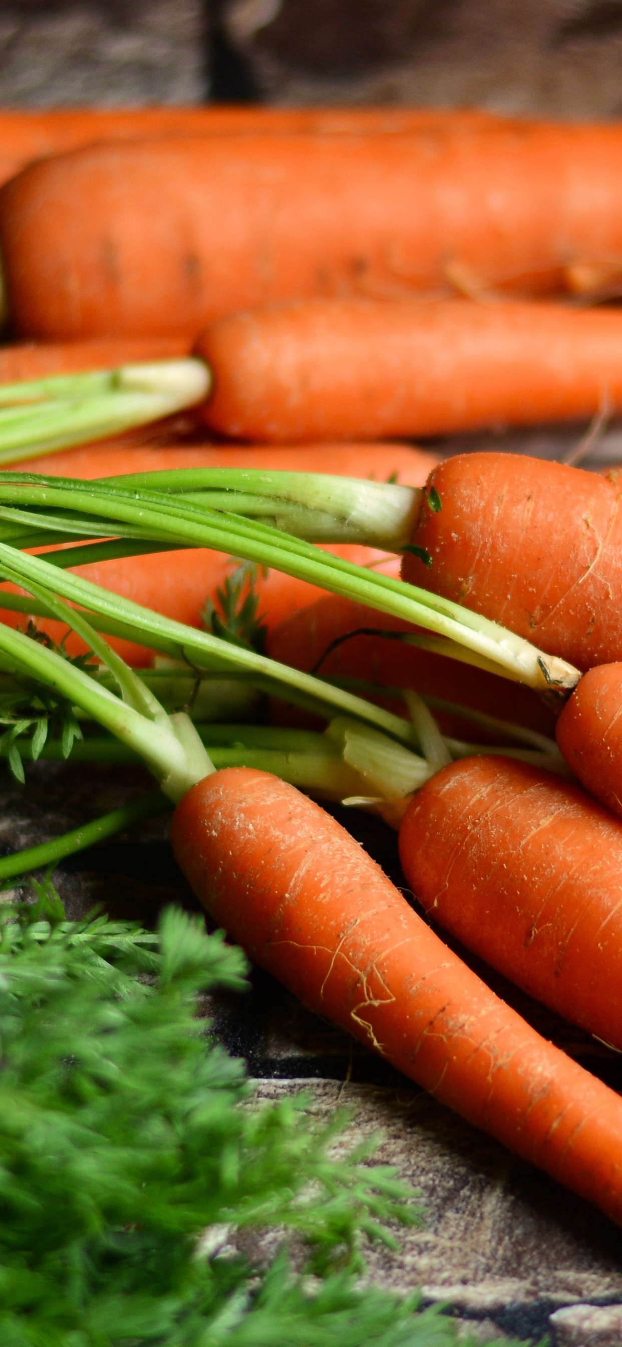 Обои морковь, овощ, пища, местное блюдо, здоровая диета в разрешении 1242x2688