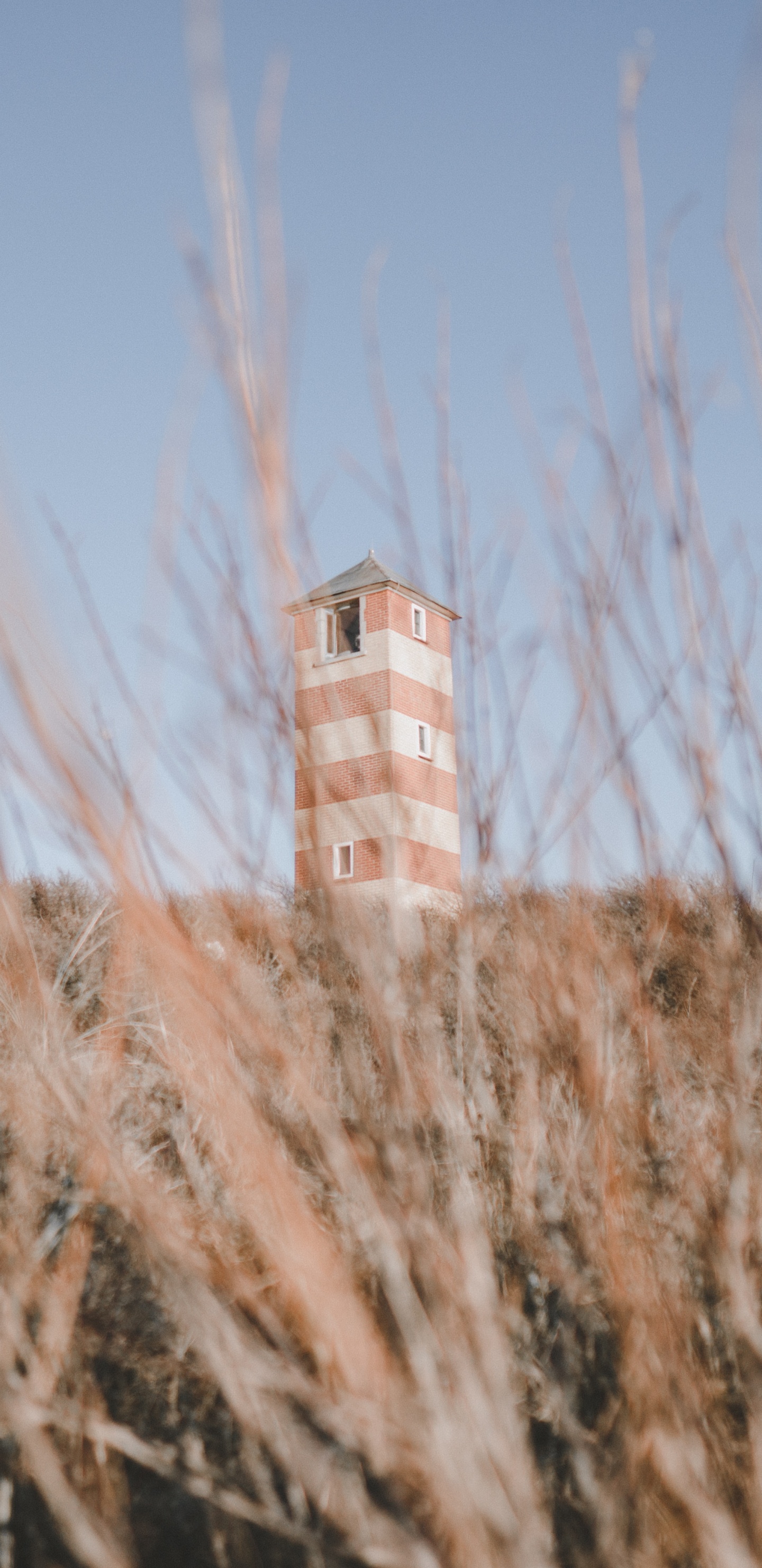 Обои здание, архитектура, природный ландшафт, прерия, рнга в разрешении 1440x2960