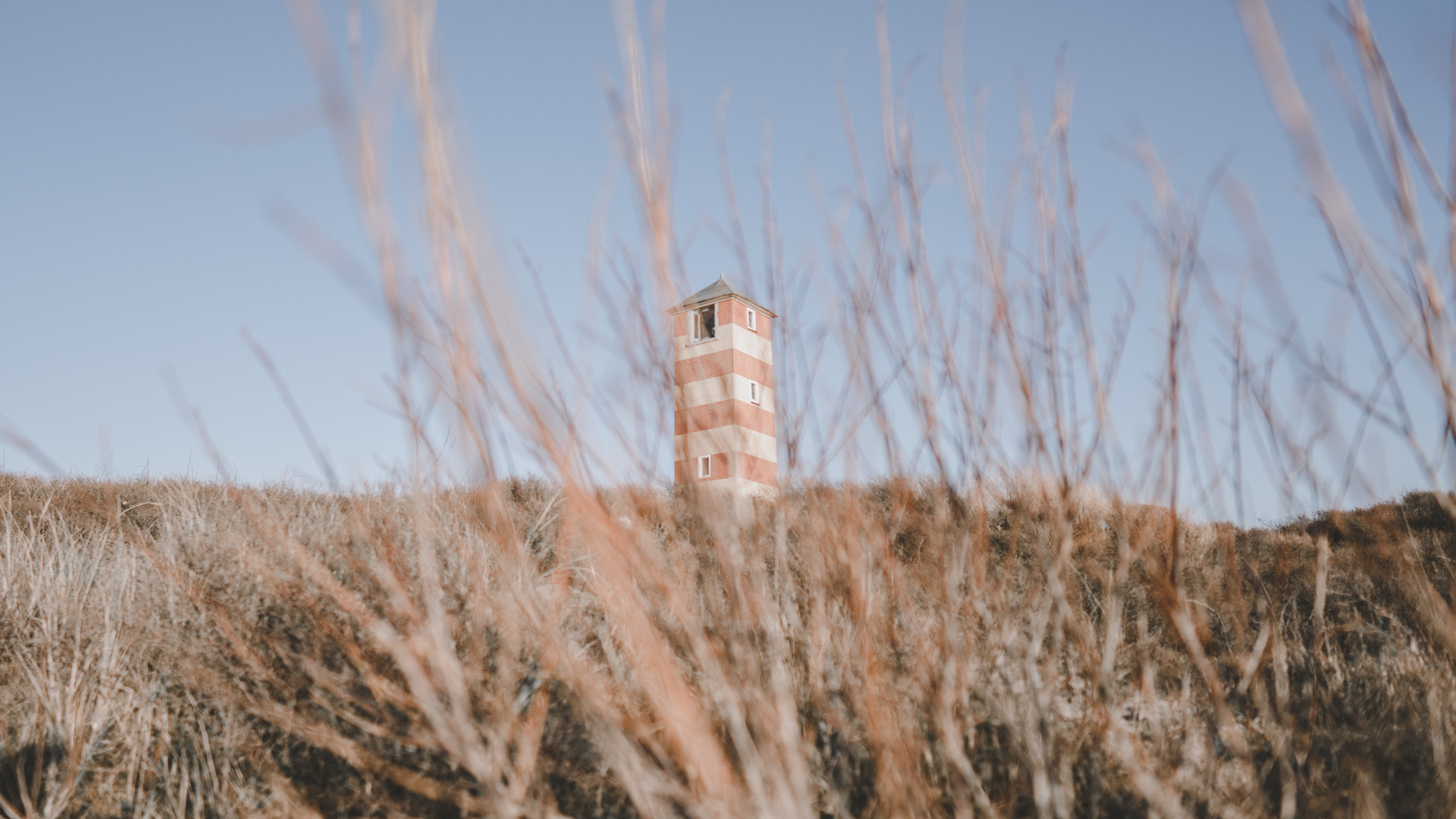 Обои здание, архитектура, природный ландшафт, прерия, рнга в разрешении 2560x1440