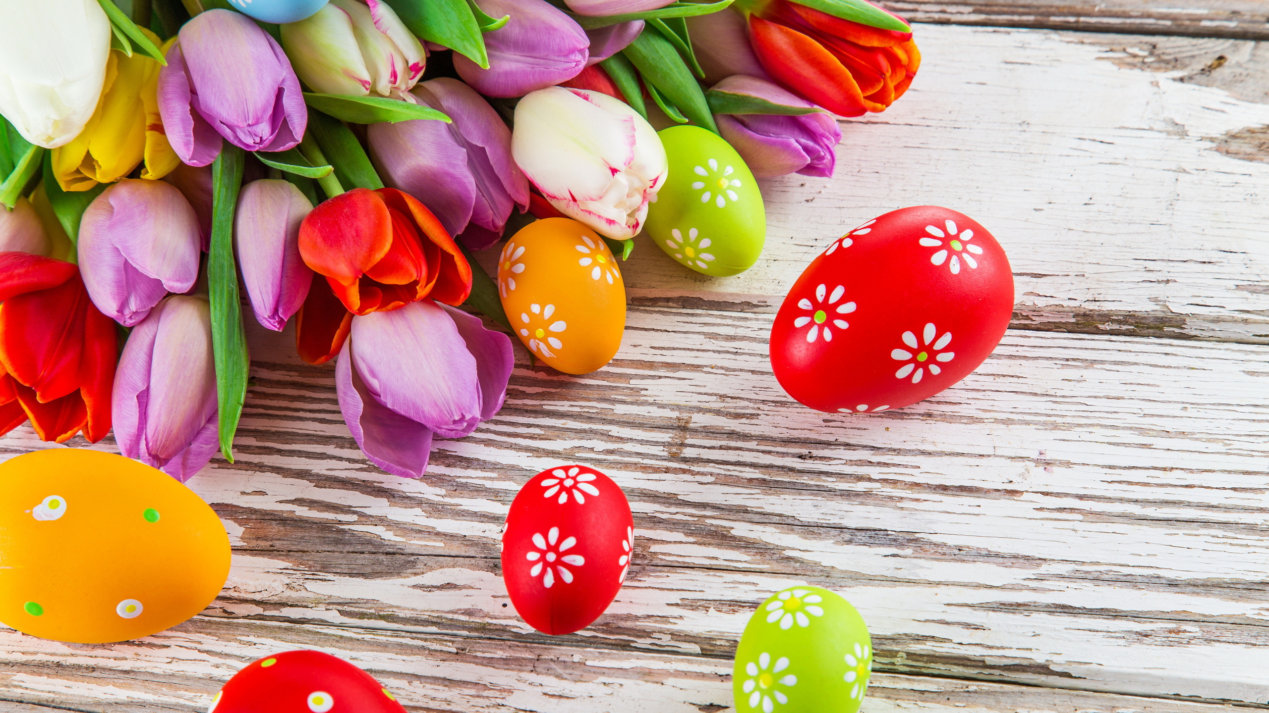 Обои пасхальное яйцо, пасха, пища, тюльпаны, Тюльпан в разрешении 2560x1440