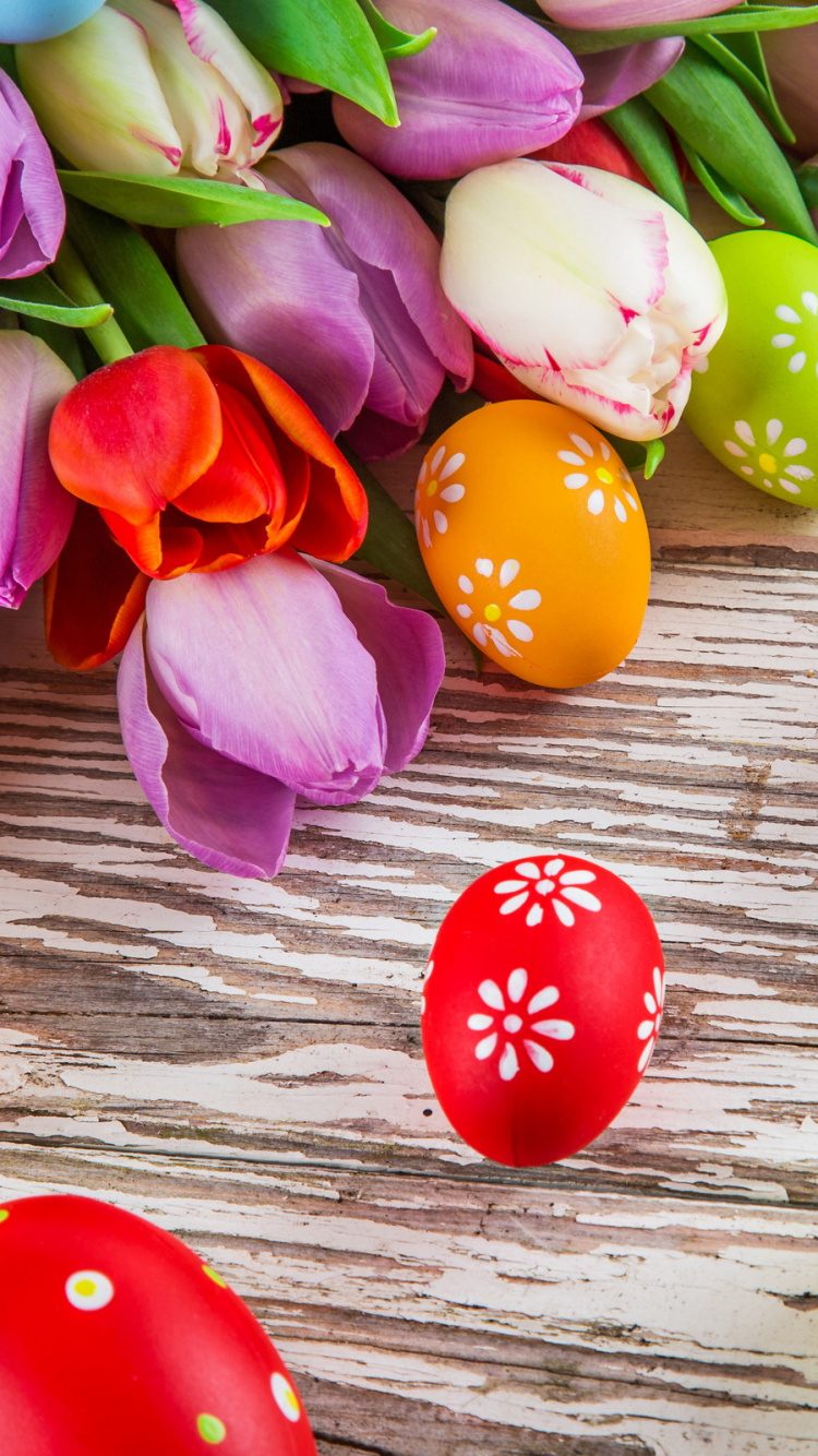 Обои пасхальное яйцо, пасха, пища, тюльпаны, Тюльпан в разрешении 750x1334