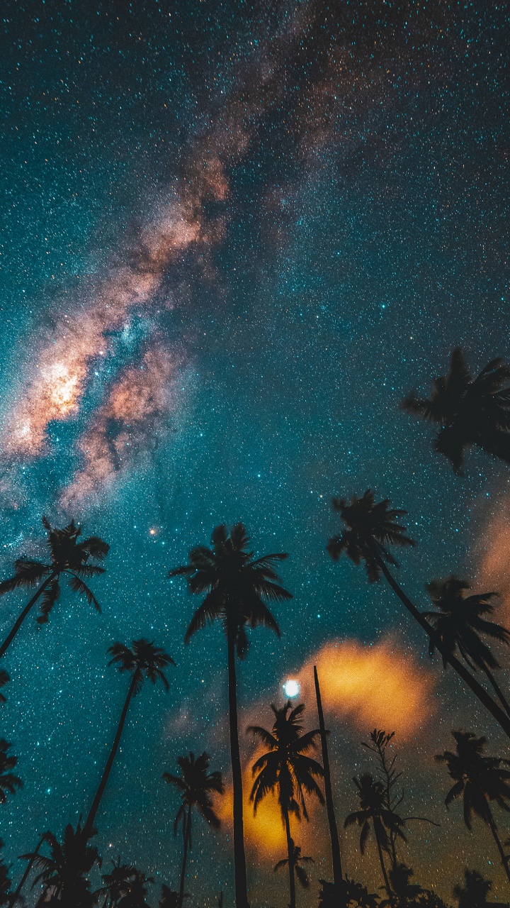 Обои небо полное звезд, Рэйчел Филип, группа Coldplay, сеум деро, ночь в разрешении 720x1280