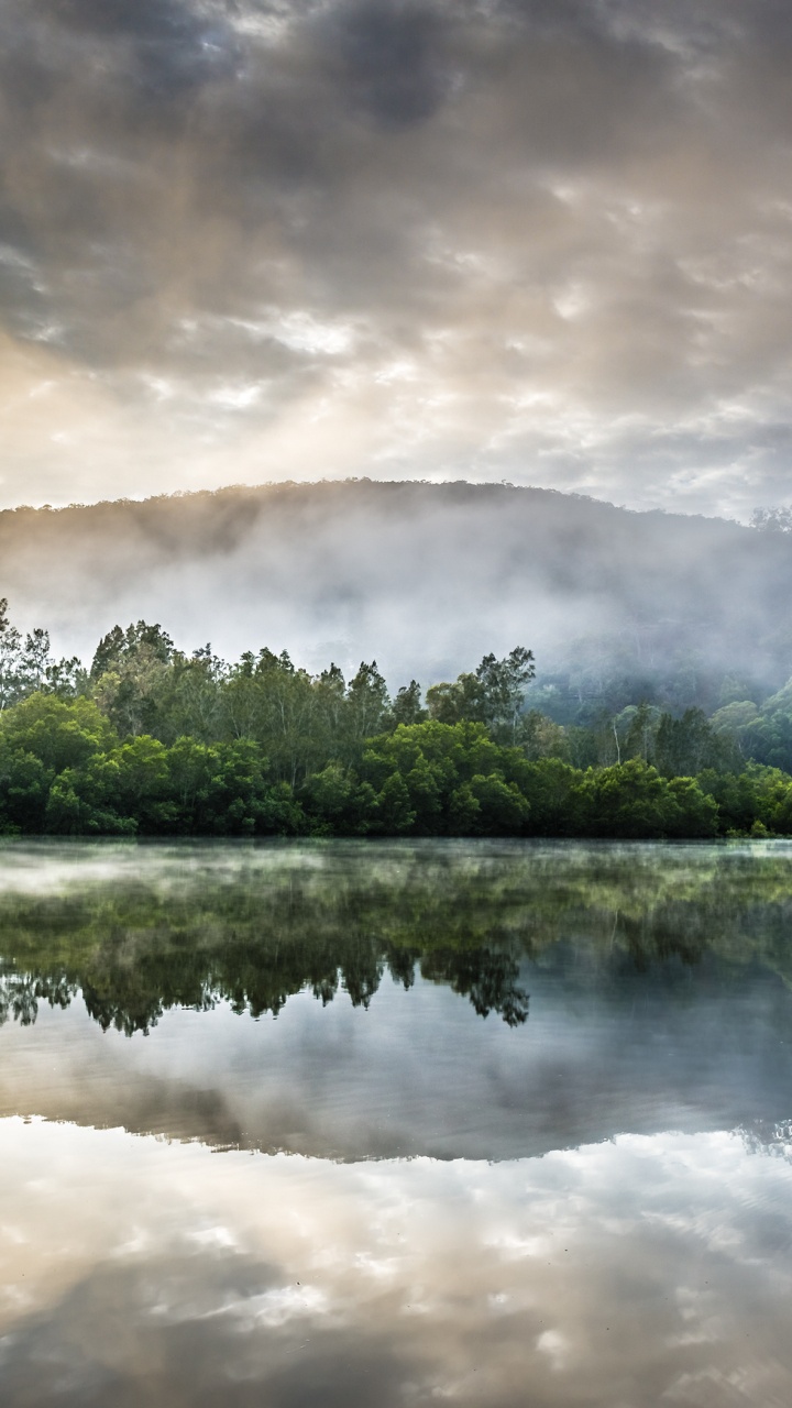 Обои природа, отражение, вода, гидроресурсы, растительность в разрешении 720x1280