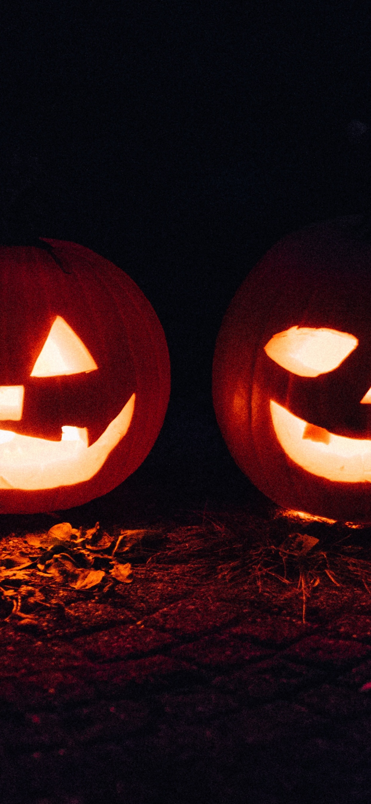 Обои калебас, Апельсин, резьба, тыква, свет в разрешении 1242x2688