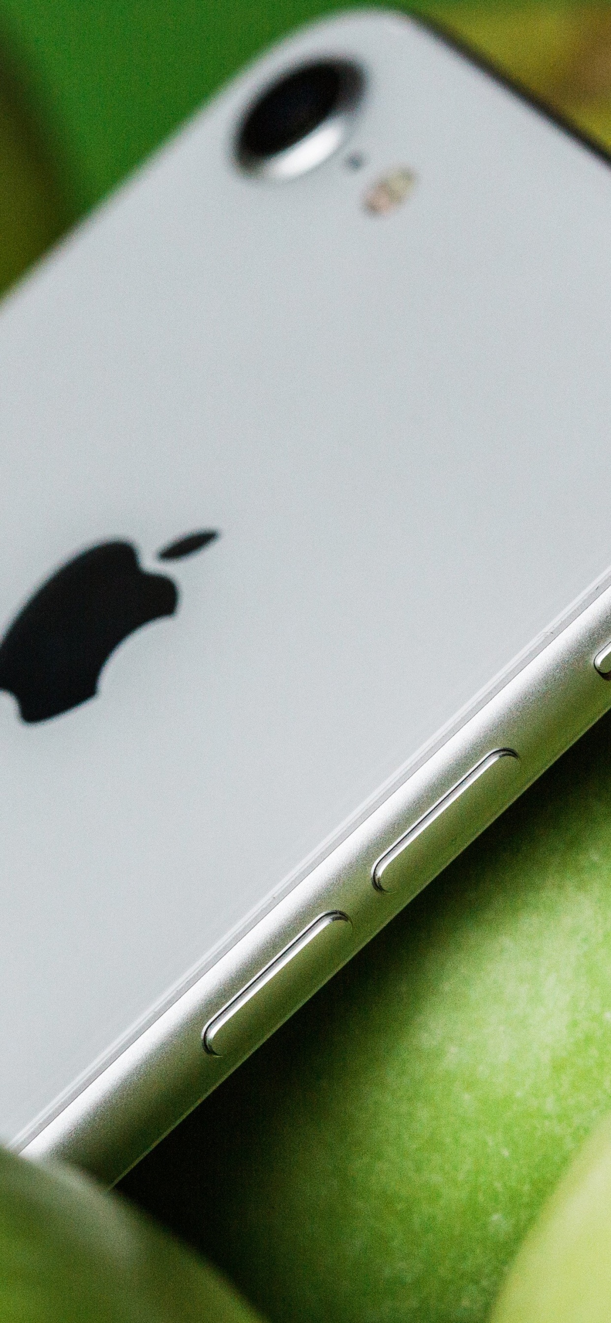 Обои apple, смартфон, зеленый, гаджет, коммуникационное устройство в разрешении 1242x2688