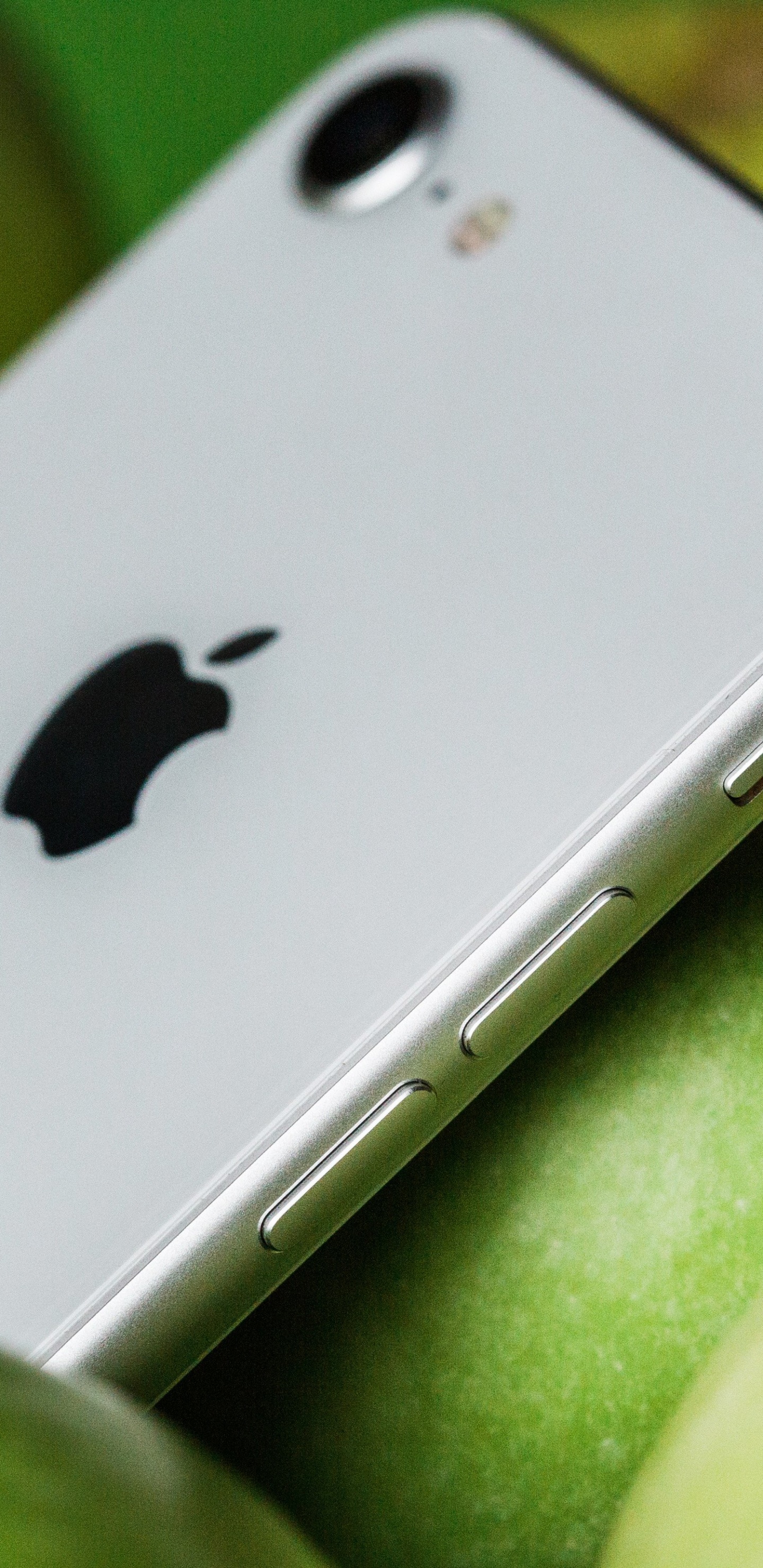 Обои apple, смартфон, зеленый, гаджет, коммуникационное устройство в разрешении 1440x2960