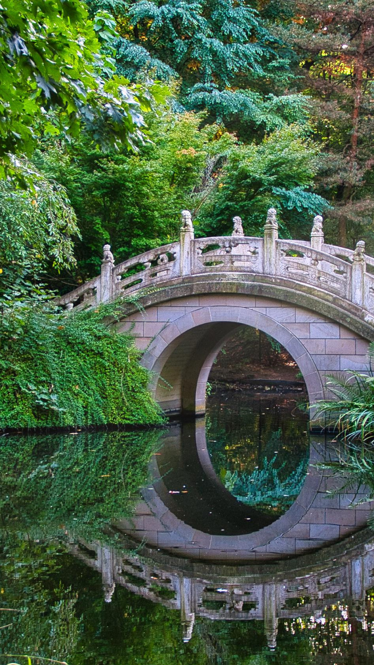 Обои сад, китайский сад, растение, вода, дерево в разрешении 750x1334