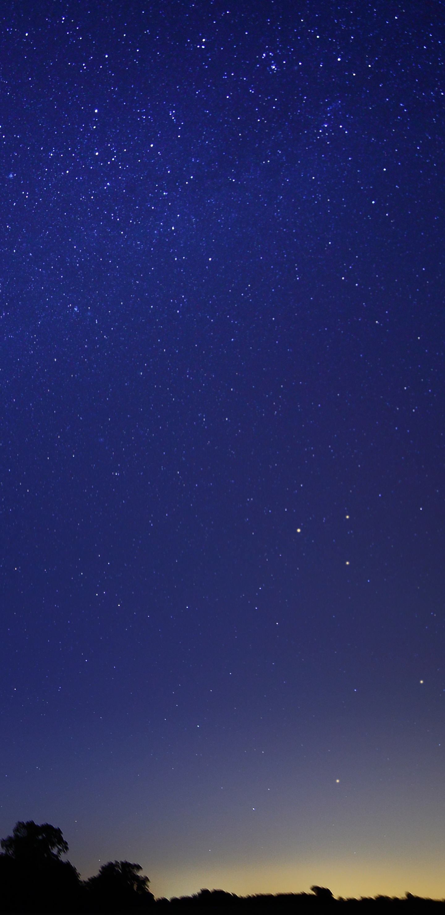 Обои ночное небо, звезда, ночь, Астрономия, атмосфера в разрешении 1440x2960