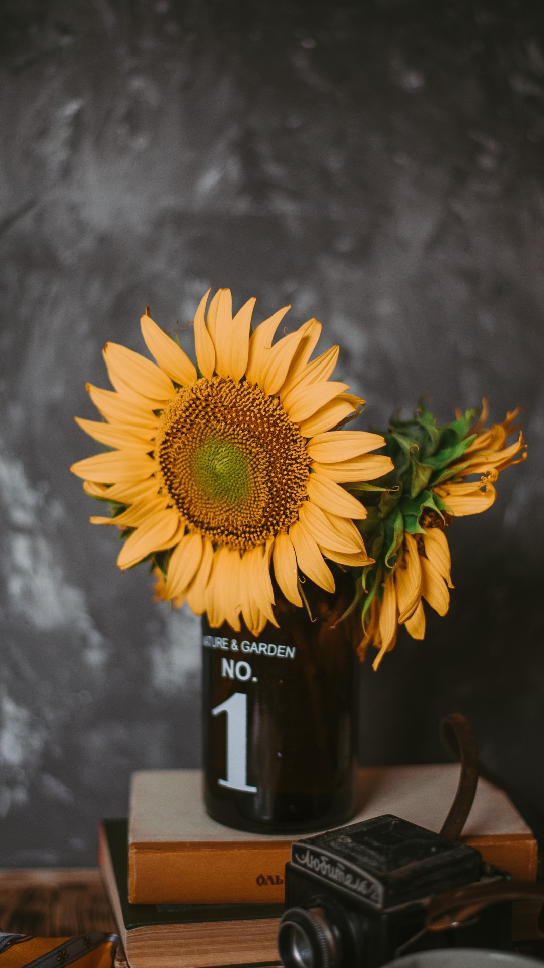 Обои цветок, желтый, натюрморт, растение, живопись в разрешении 1080x1920