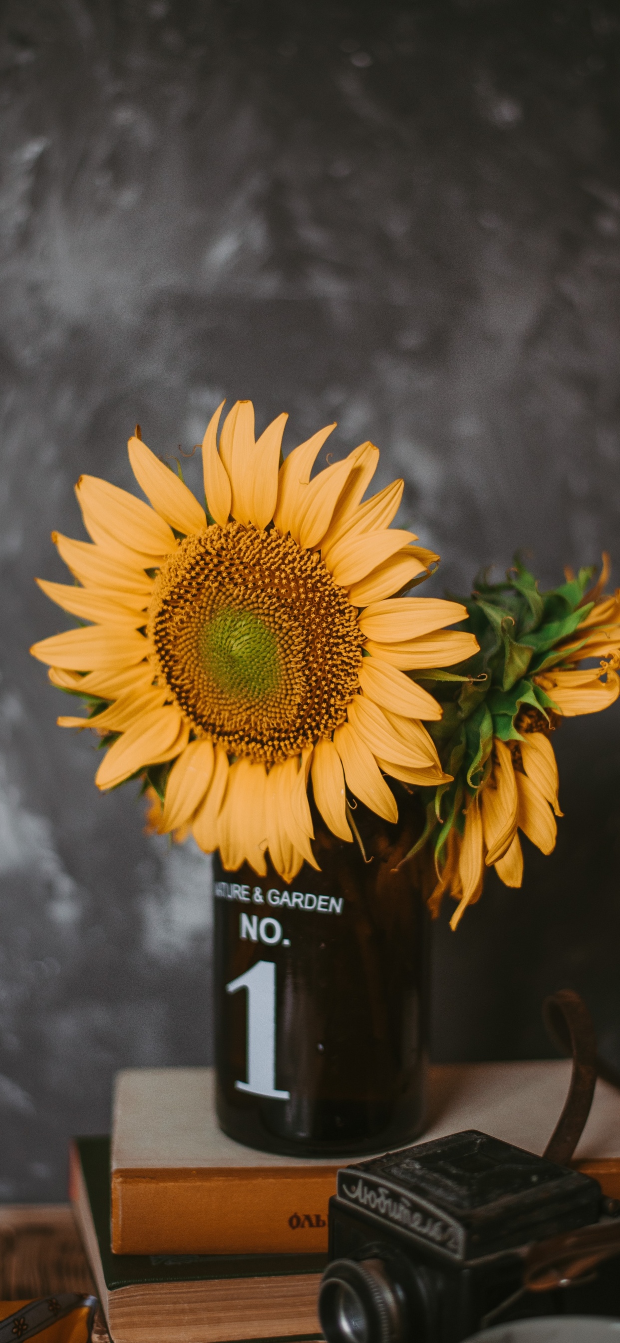 Обои цветок, желтый, натюрморт, растение, живопись в разрешении 1242x2688