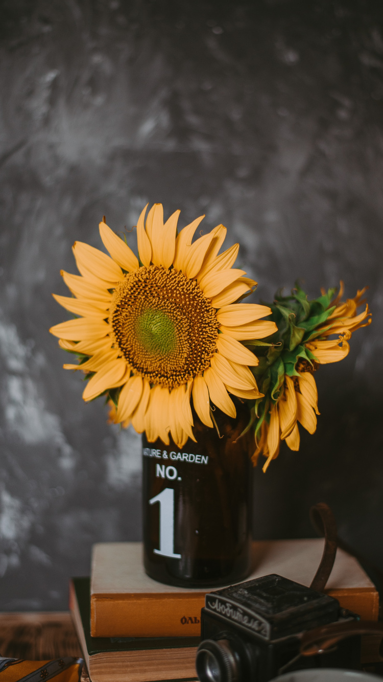 Обои цветок, желтый, натюрморт, растение, живопись в разрешении 750x1334