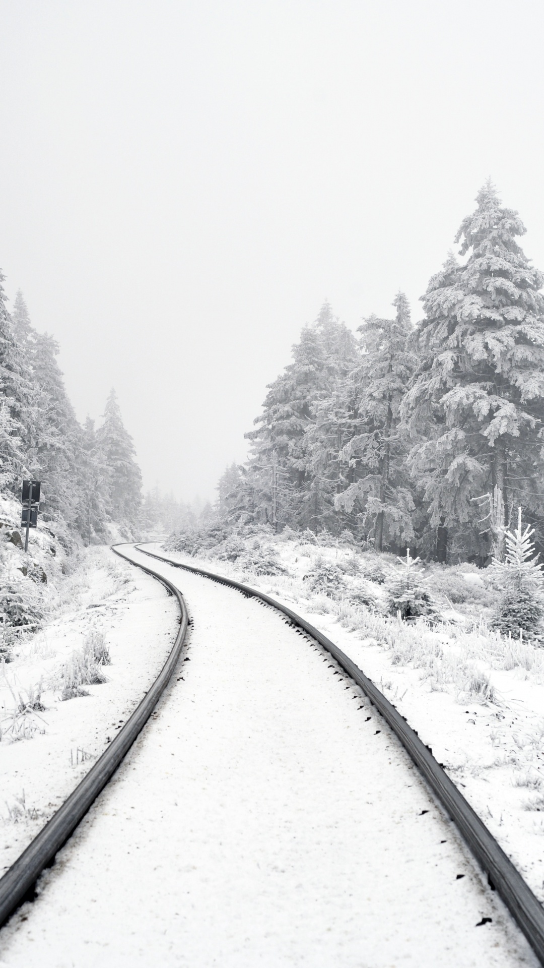 Обои Писание об исполнении, растение, снег, дерево, ветвь в разрешении 1080x1920