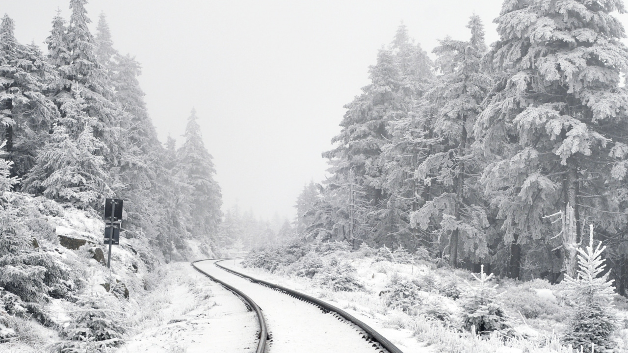 Обои Писание об исполнении, растение, снег, дерево, ветвь в разрешении 1280x720