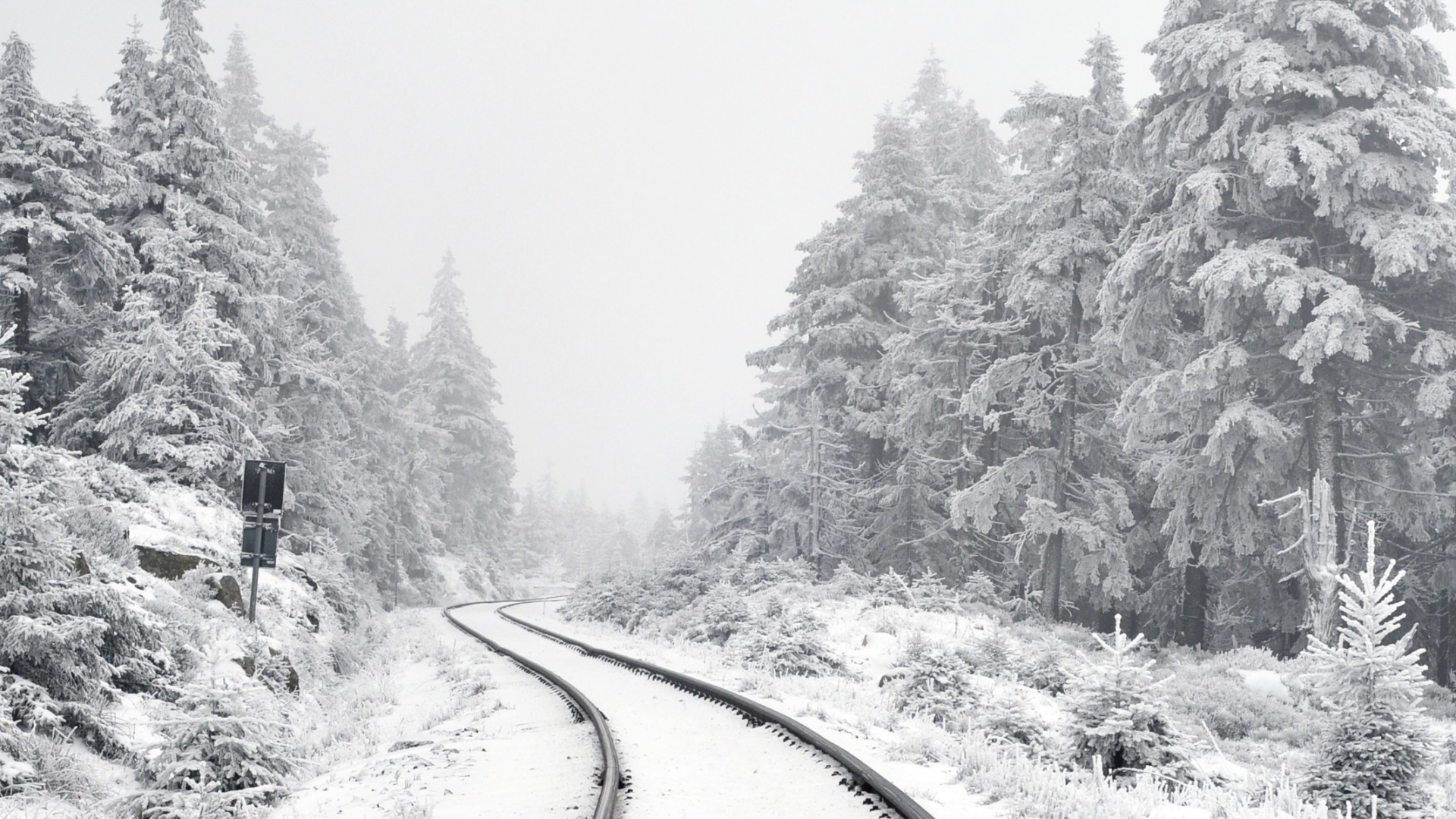 Обои Писание об исполнении, растение, снег, дерево, ветвь в разрешении 1920x1080