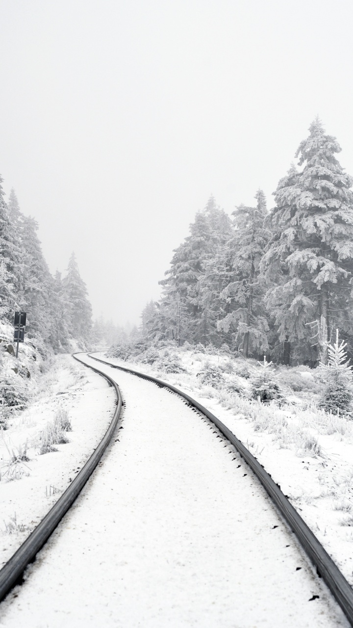 Обои Писание об исполнении, растение, снег, дерево, ветвь в разрешении 720x1280