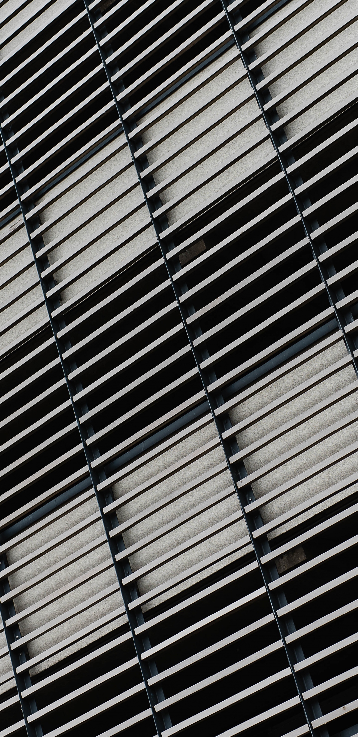 Обои черный и белый, линия, металл, узор, монохромный в разрешении 1440x2960