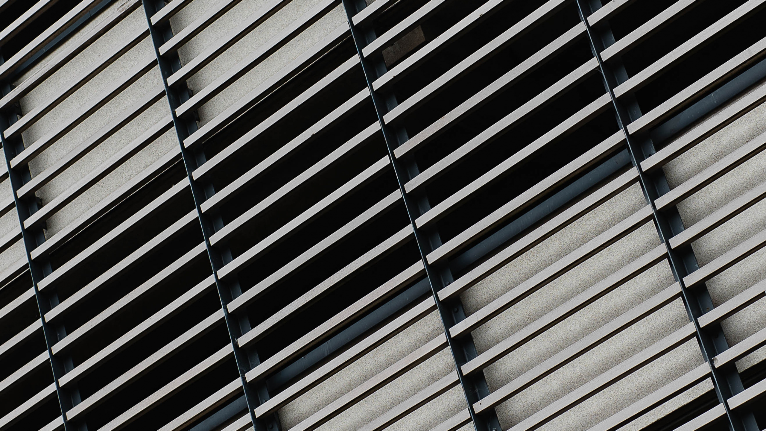 Обои черный и белый, линия, металл, узор, монохромный в разрешении 2560x1440