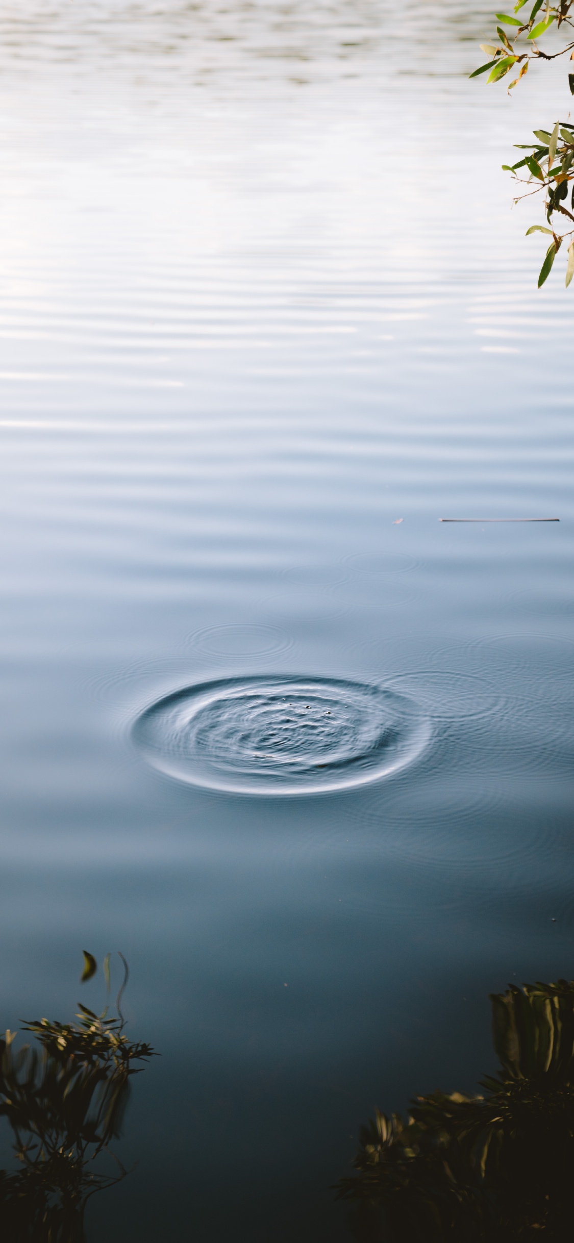 Обои спокойный, статуя, вода, дерево, озеро в разрешении 1125x2436