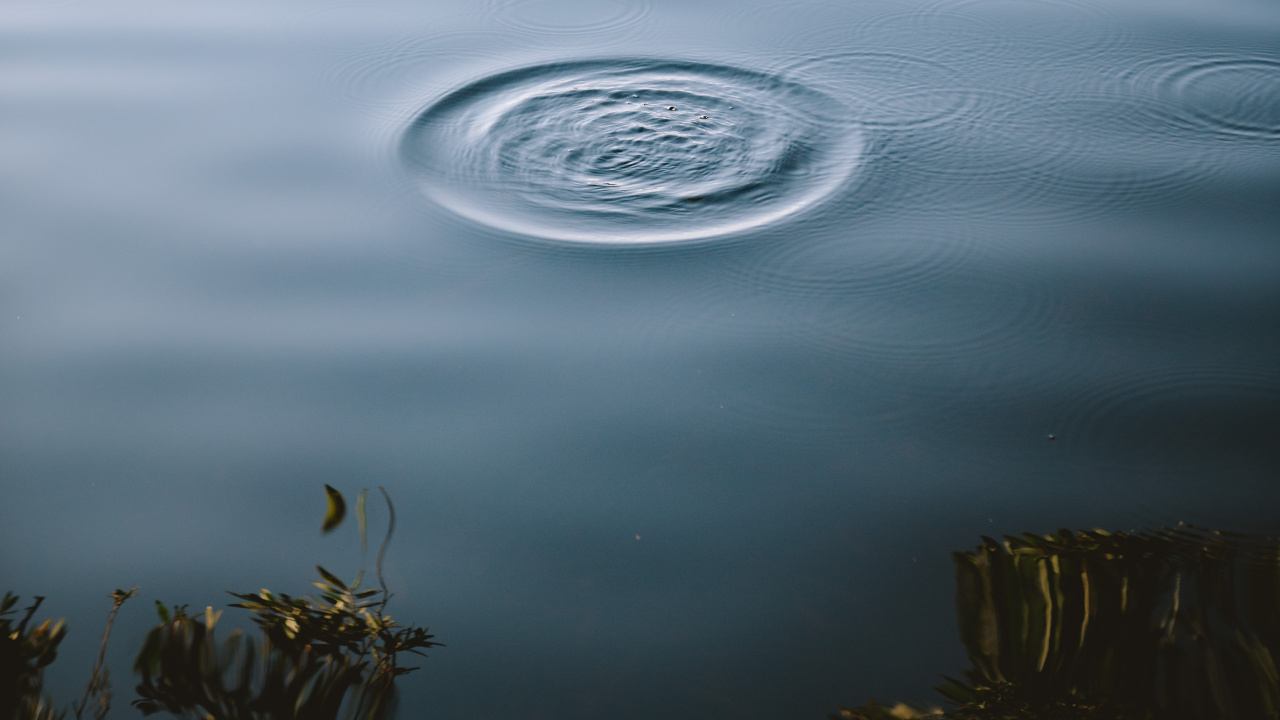 Обои спокойный, статуя, вода, дерево, озеро в разрешении 1280x720