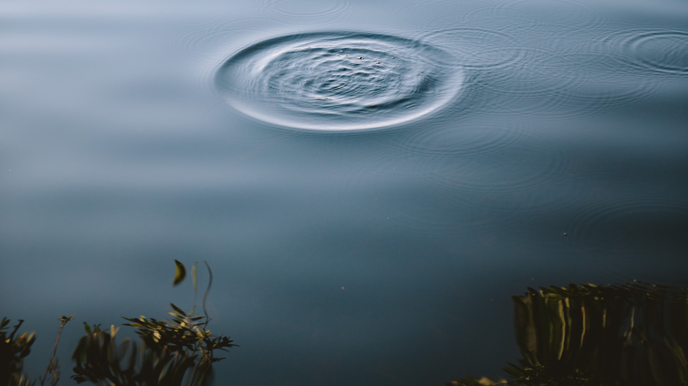 Обои спокойный, статуя, вода, дерево, озеро в разрешении 1366x768