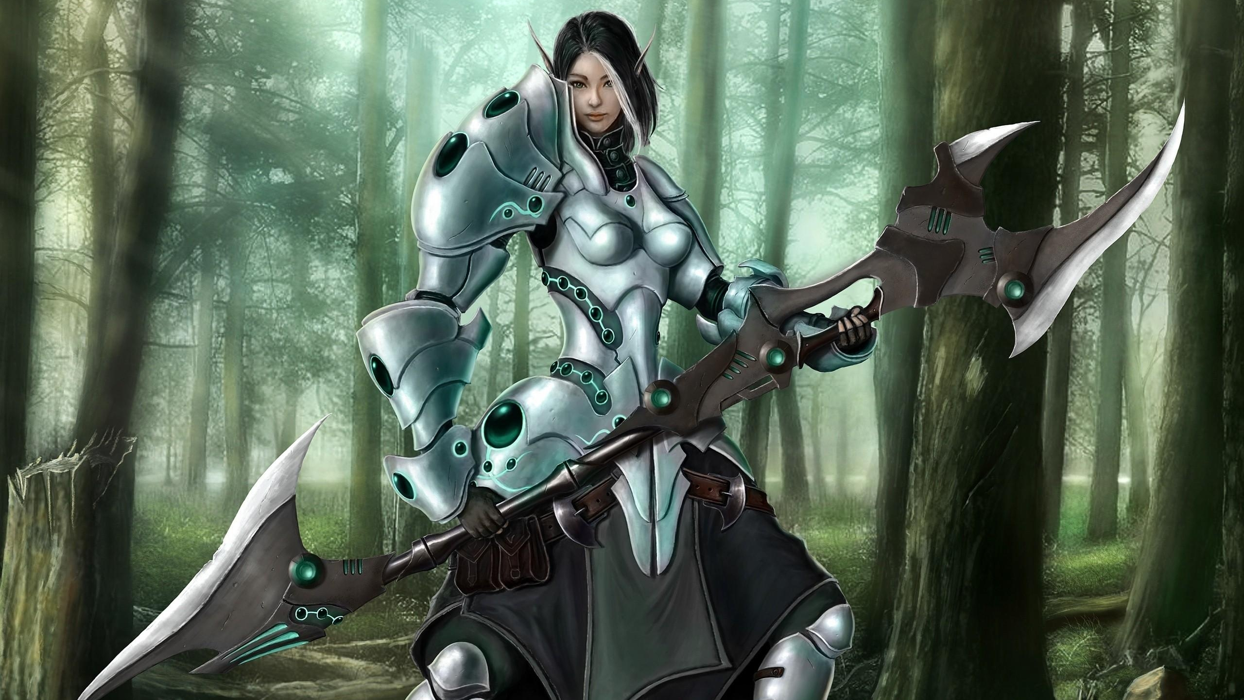 Обои эльф, фэнтези, воин, рыцарь, фотография в разрешении 2560x1440