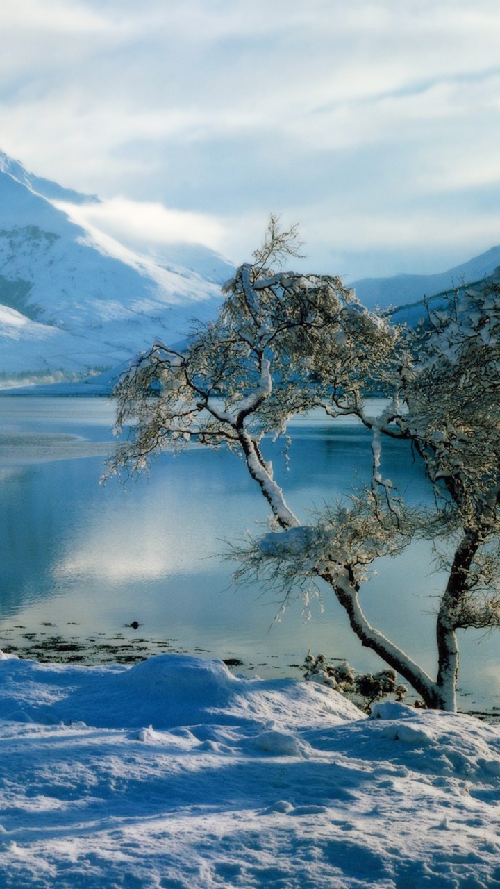 Обои Баллачулиш, форт-Уильям, зима, природа, снег в разрешении 720x1280