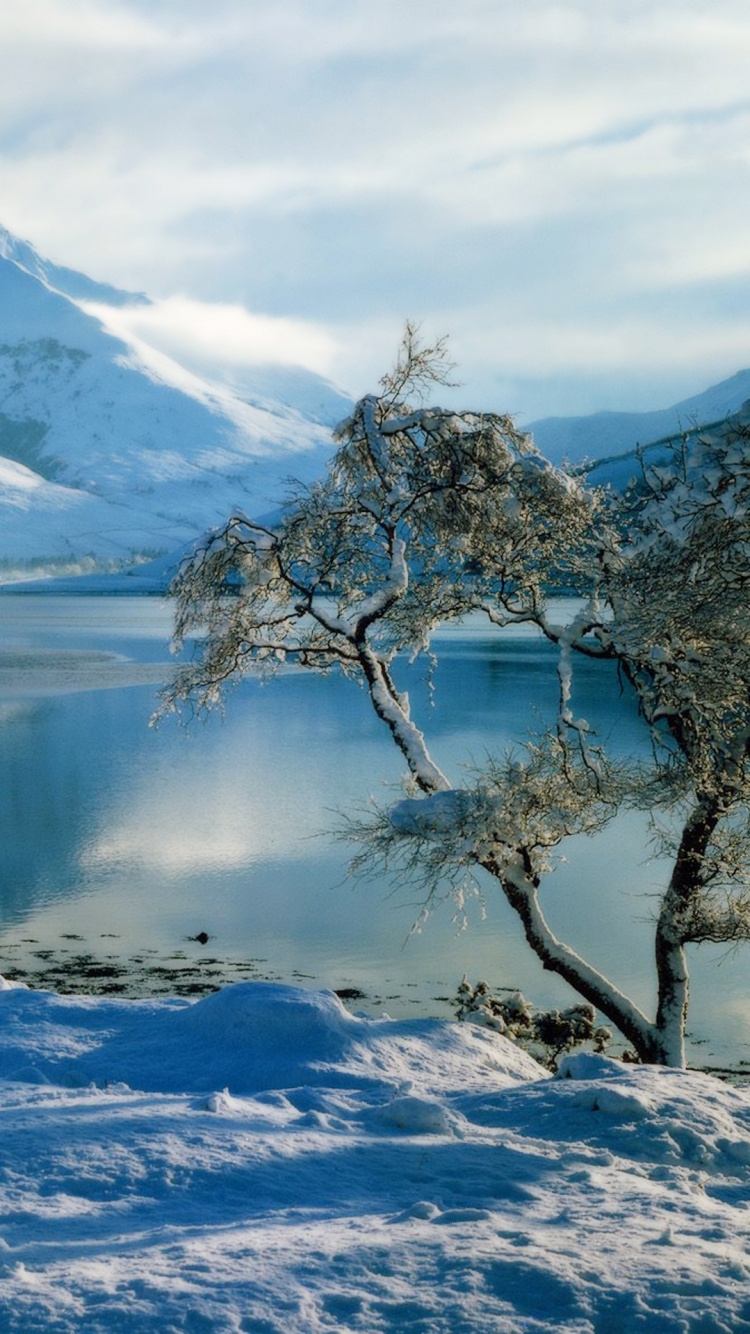 Обои Баллачулиш, форт-Уильям, зима, природа, снег в разрешении 750x1334