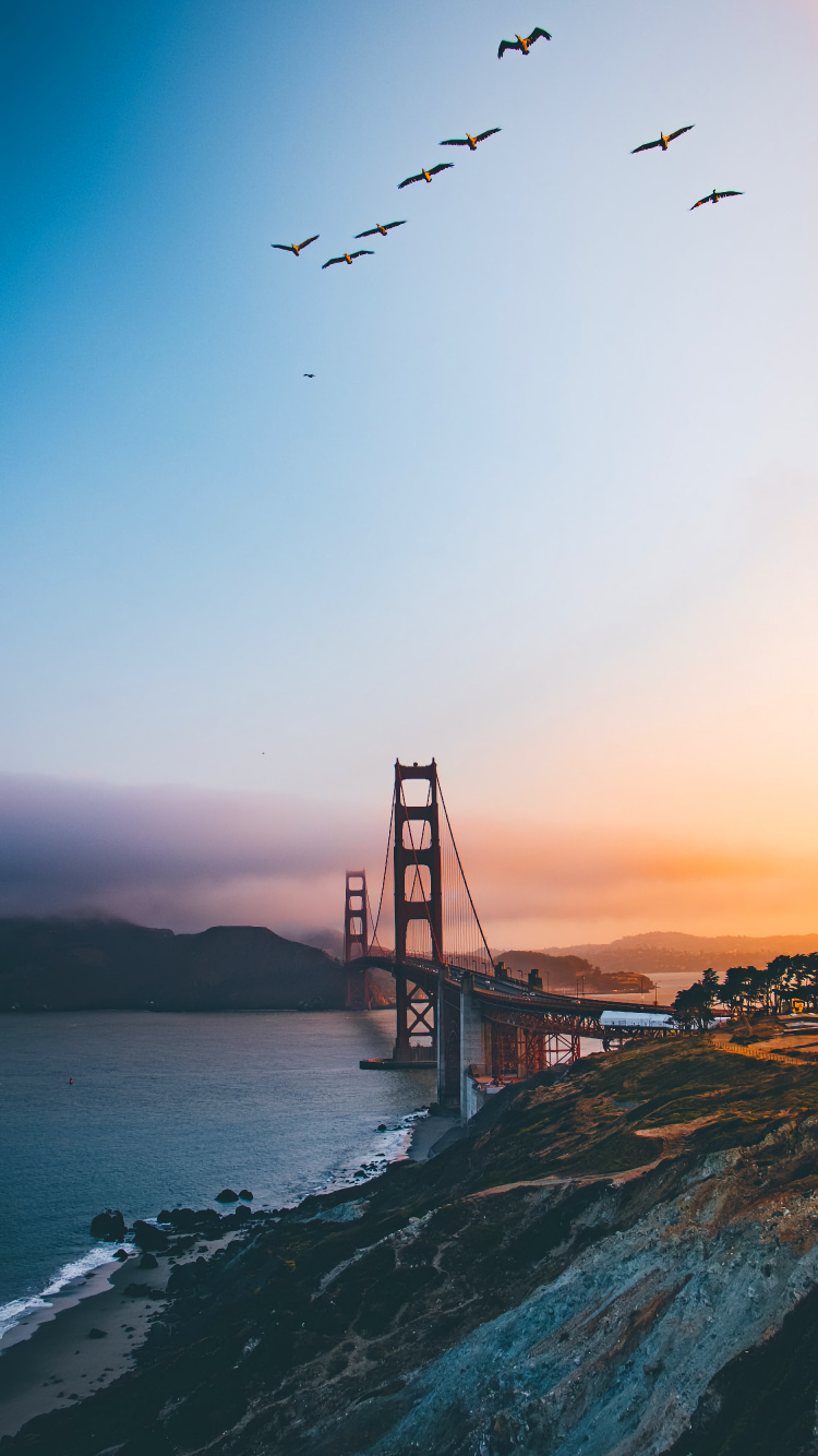 Обои мост Golden Gate, мост, подвесной мост, СанФранциско, вода в разрешении 750x1334