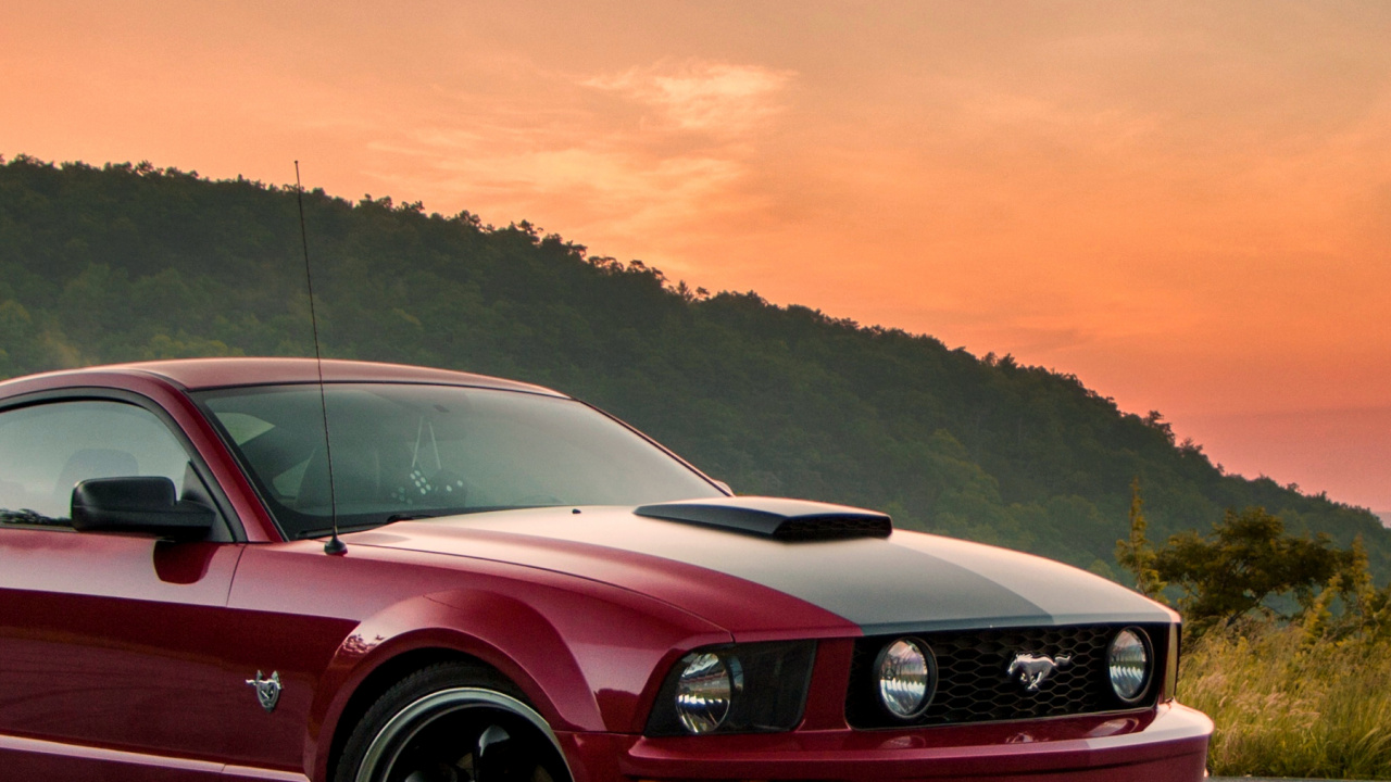 Обои Форд Мустанг, легковые автомобили, Мустанг босс 302, спорткар, компания Ford в разрешении 1280x720